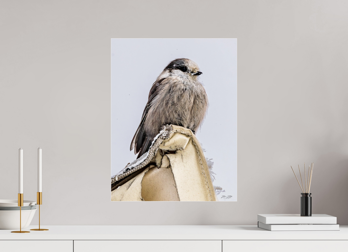 16 x 20.7″, Photo Print Under Acrylic Glass Zillas Zoom Image 462