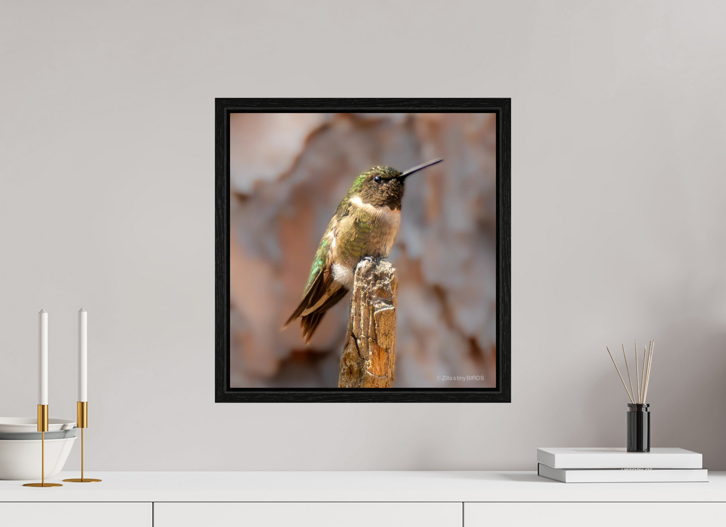 16 x 16.5″, Floater Frame Zillas Zoom Image 450