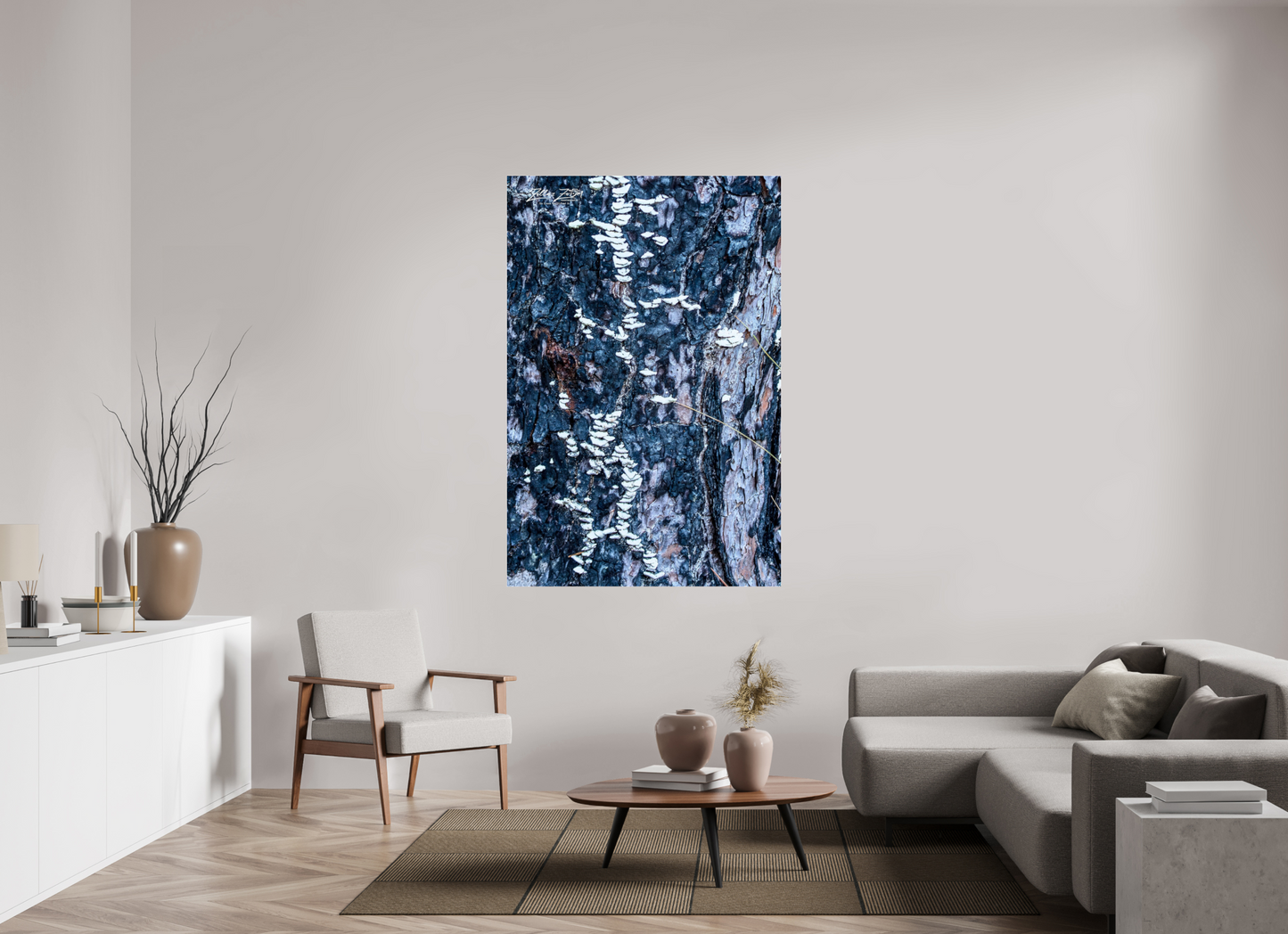 44 x 66″, Photo Print Under Acrylic Glass Zillas Zoom Image 114