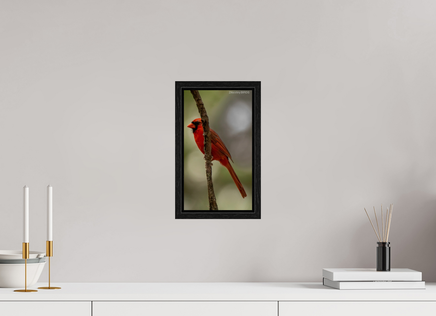 6.8 x 12″, Floater Frame Zillas Zoom Image 486