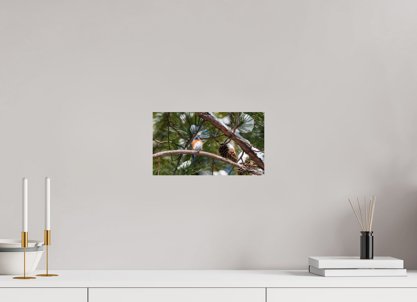 12 x 6.8″, Photo Print On Fuji Crystal DP II Zillas Zoom Image 314