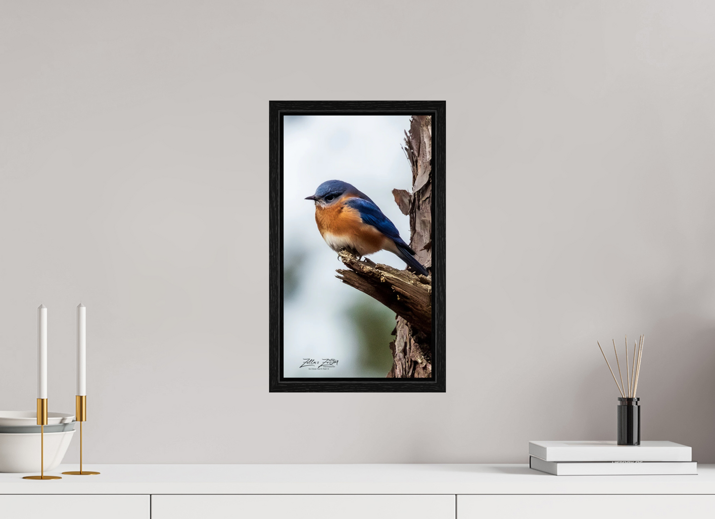 9 x 16″, Floater Frame Zillas Zoom Image 458