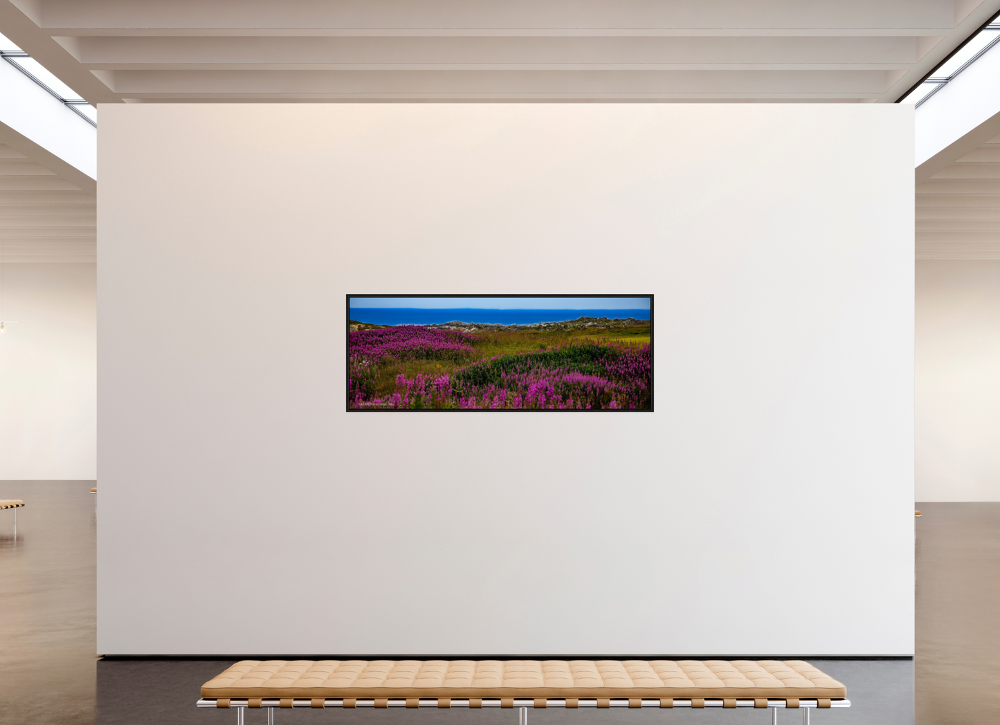 75.7 x 28″, Floater Frame Zillas Zoom Image 92