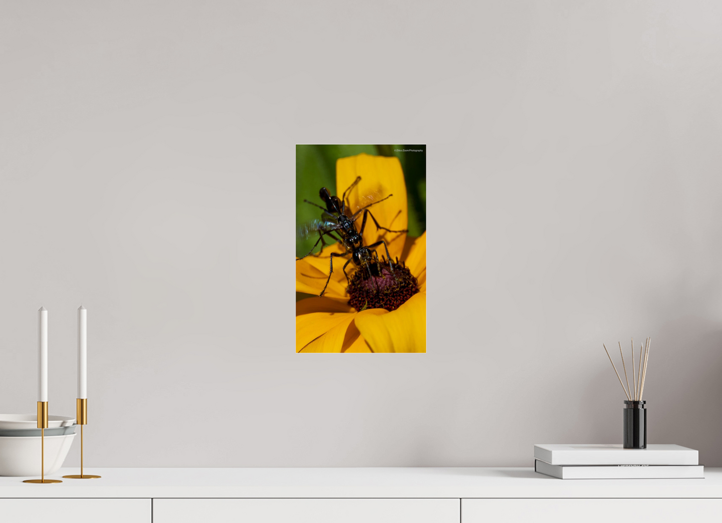8 x 12.8″, Photo Print Under Acrylic Glass Zillas Zoom Image 108