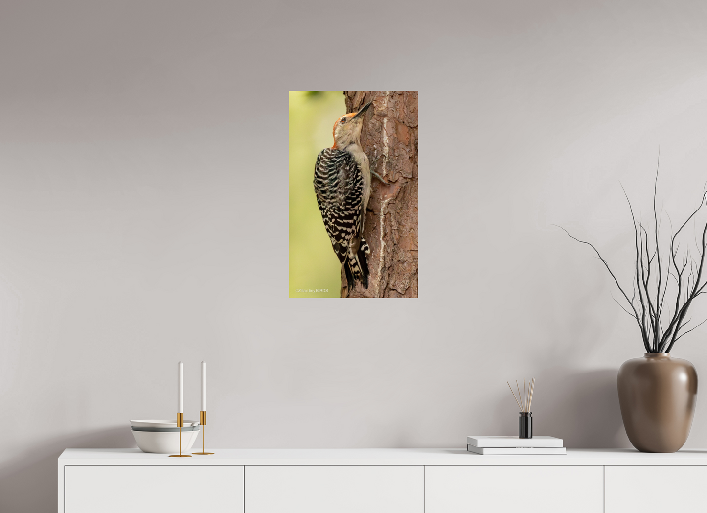 16 x 25.6″, Photo Print On Fuji Crystal DP II Zillas Zoom Image 456