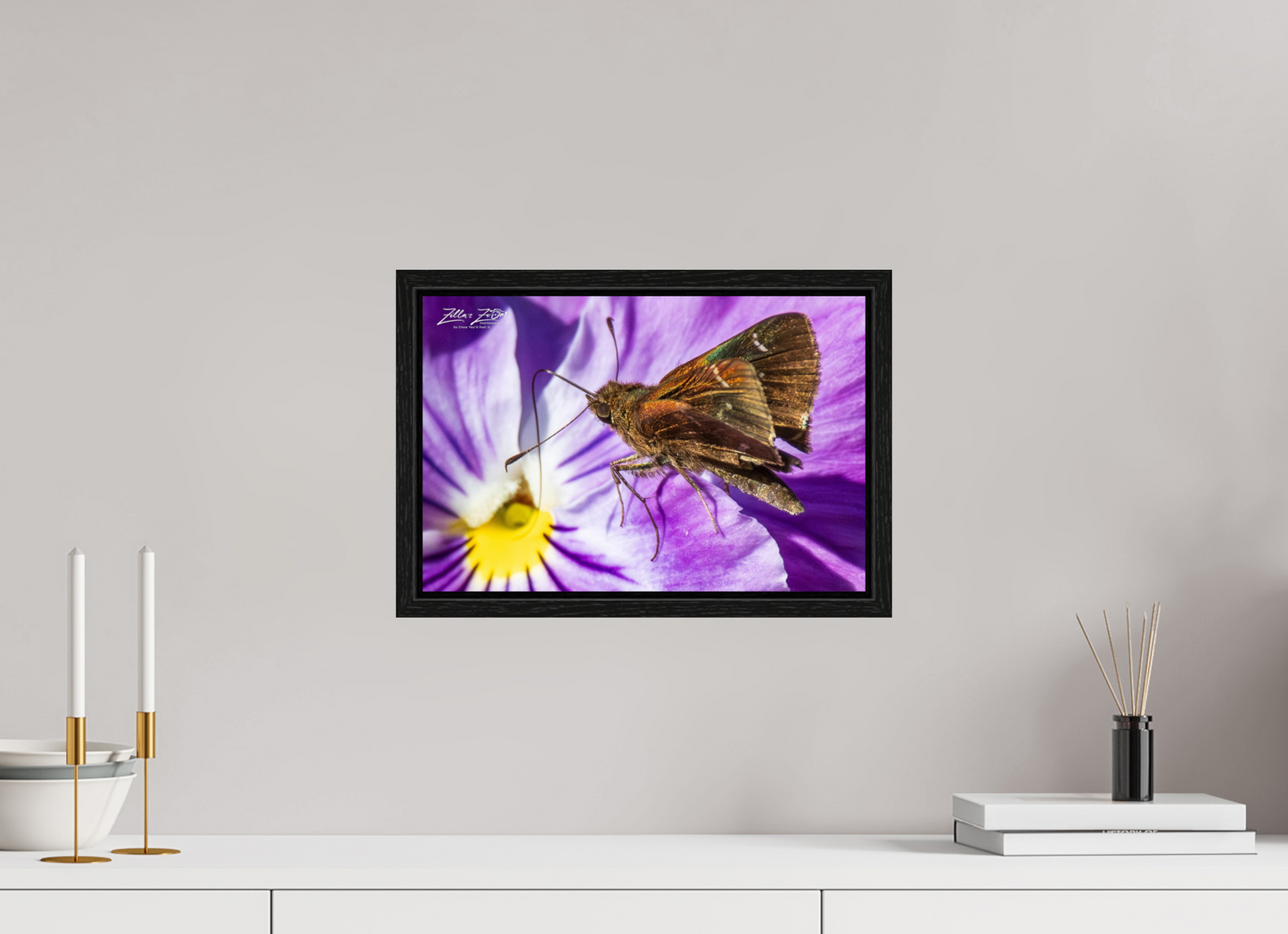 15 x 10″, Floater Frame Zillas Zoom Image 59