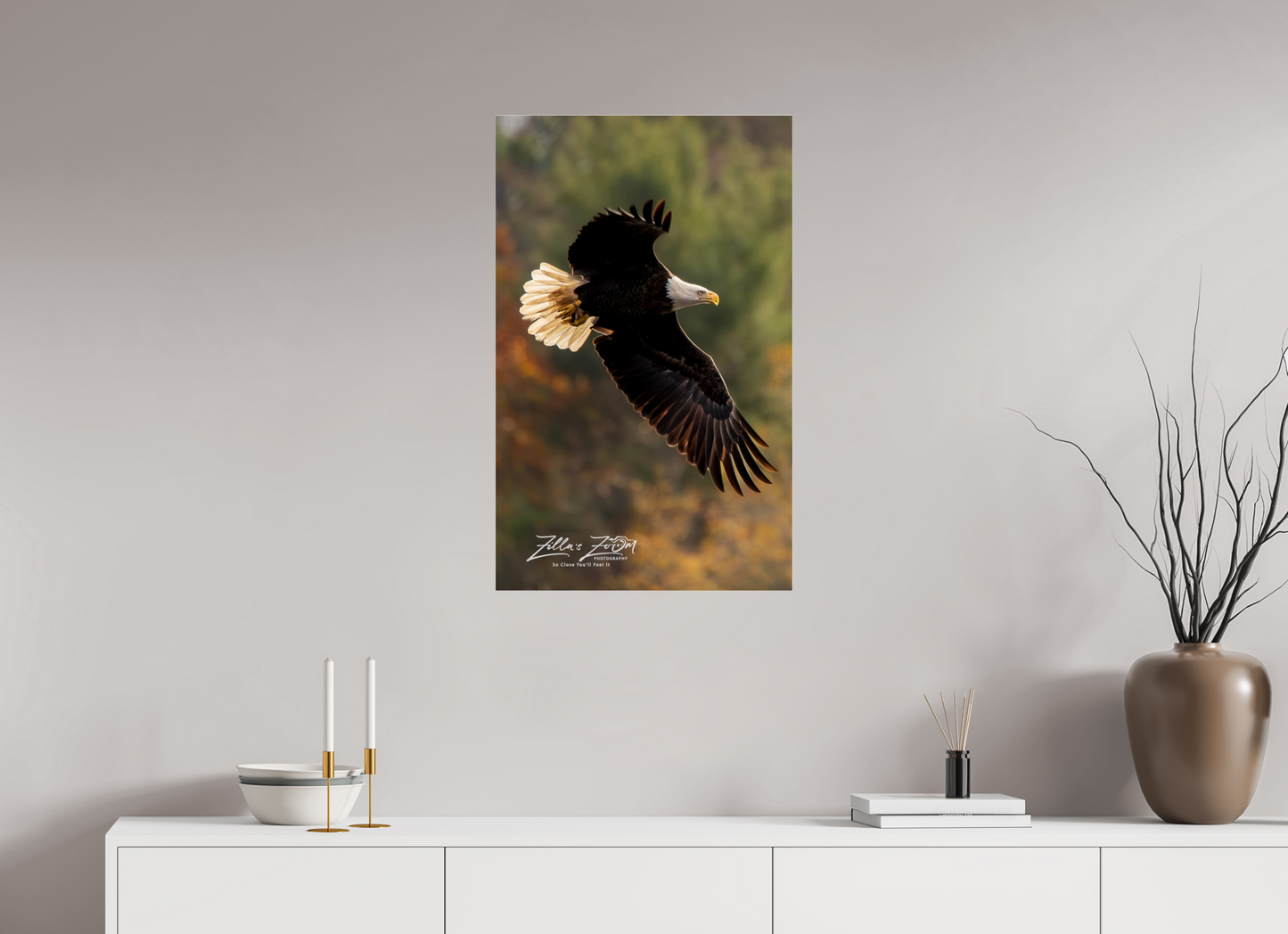 20 x 32″, Photo Print Under Acrylic Glass Zillas Zoom Image 416