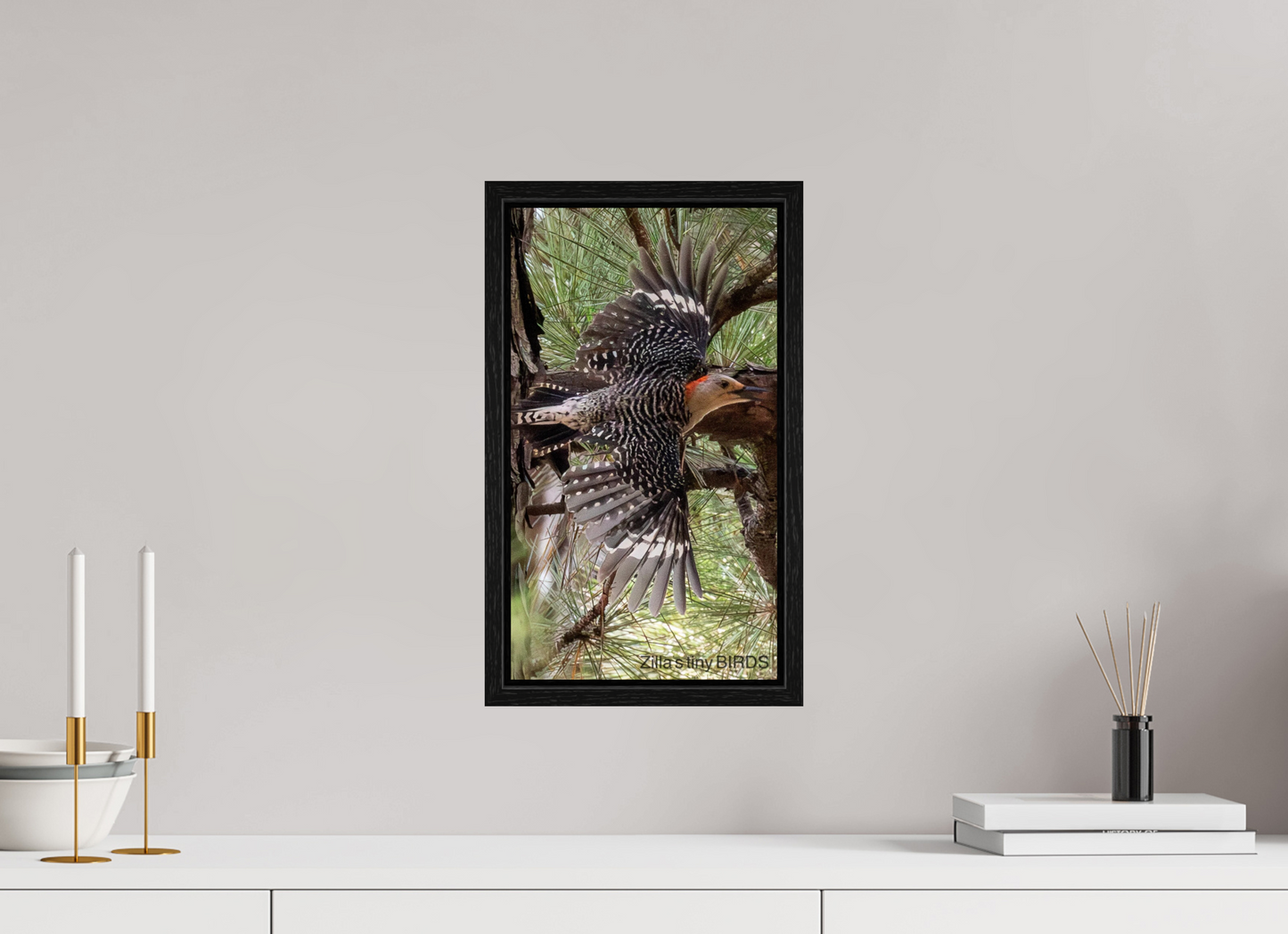 9 x 16″, Floater Frame Zillas Zoom Image 477
