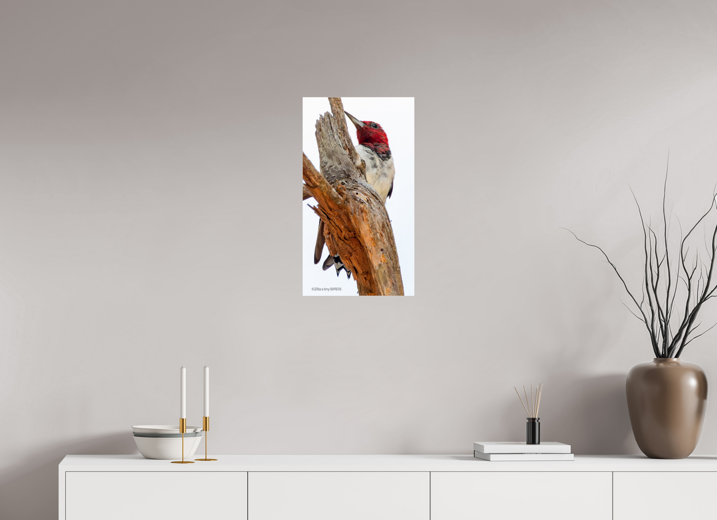 13.5 x 24″, Photo Print Under Acrylic Glass Zillas Zoom Image 439