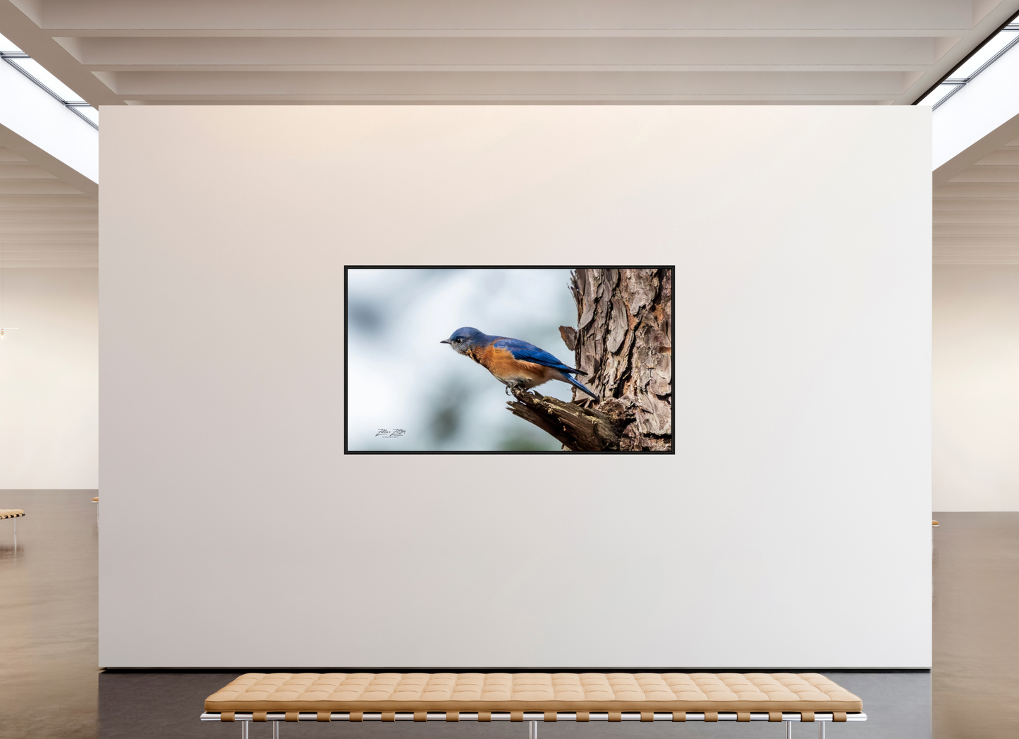 80 x 45″, Floater Frame Zillas Zoom Image 346