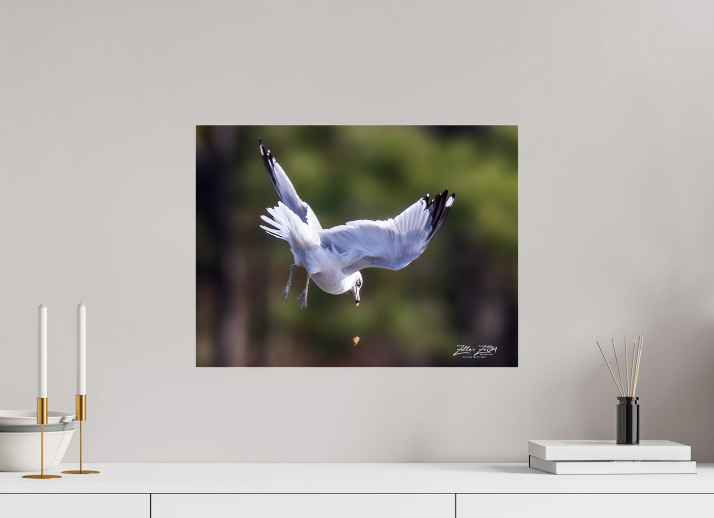 20 x 15″, Photo Print Under Acrylic Glass Zillas Zoom Image 268