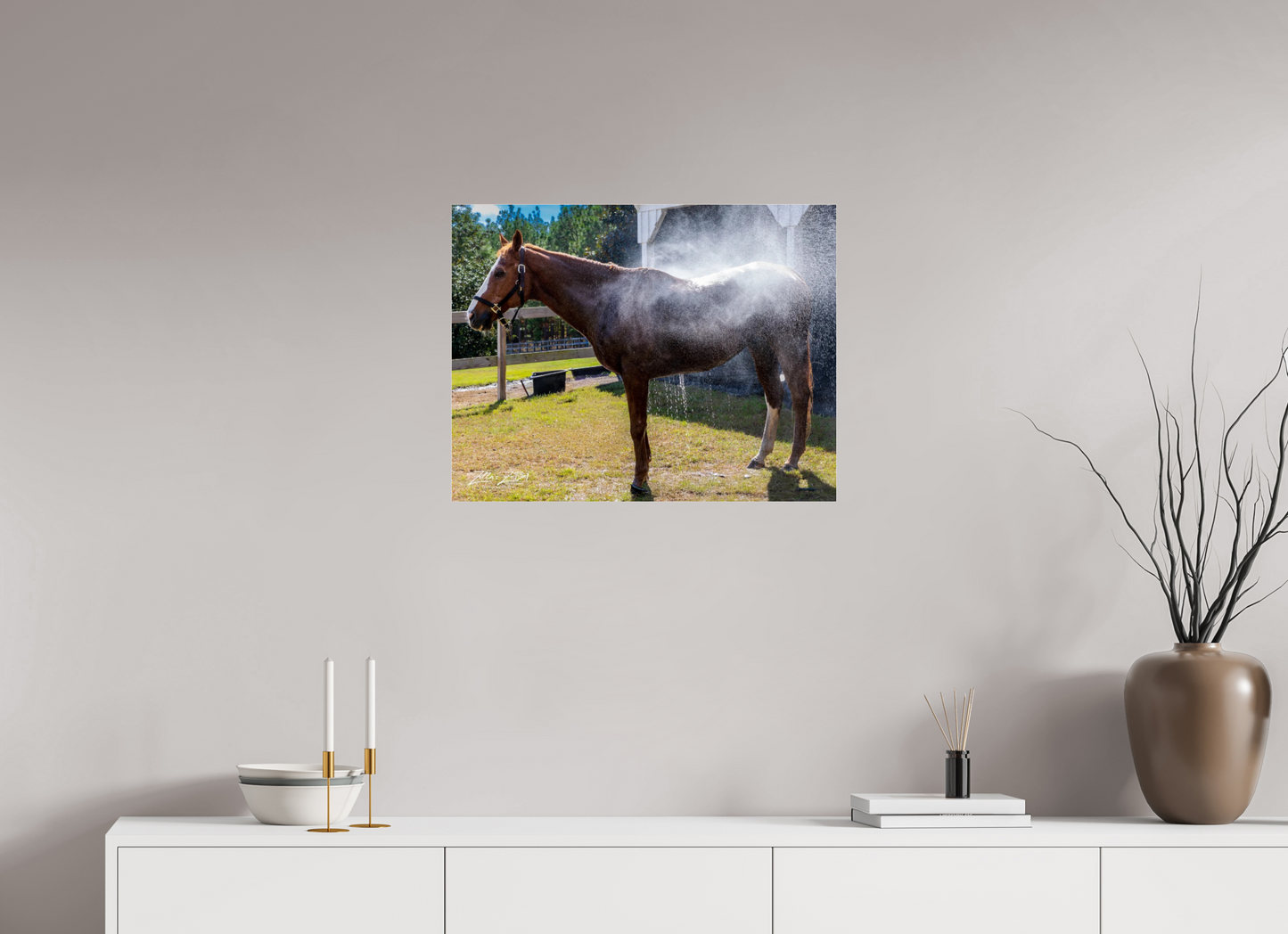 25.9 x 20″, Photo Print Under Acrylic Glass Zillas zoom image 145