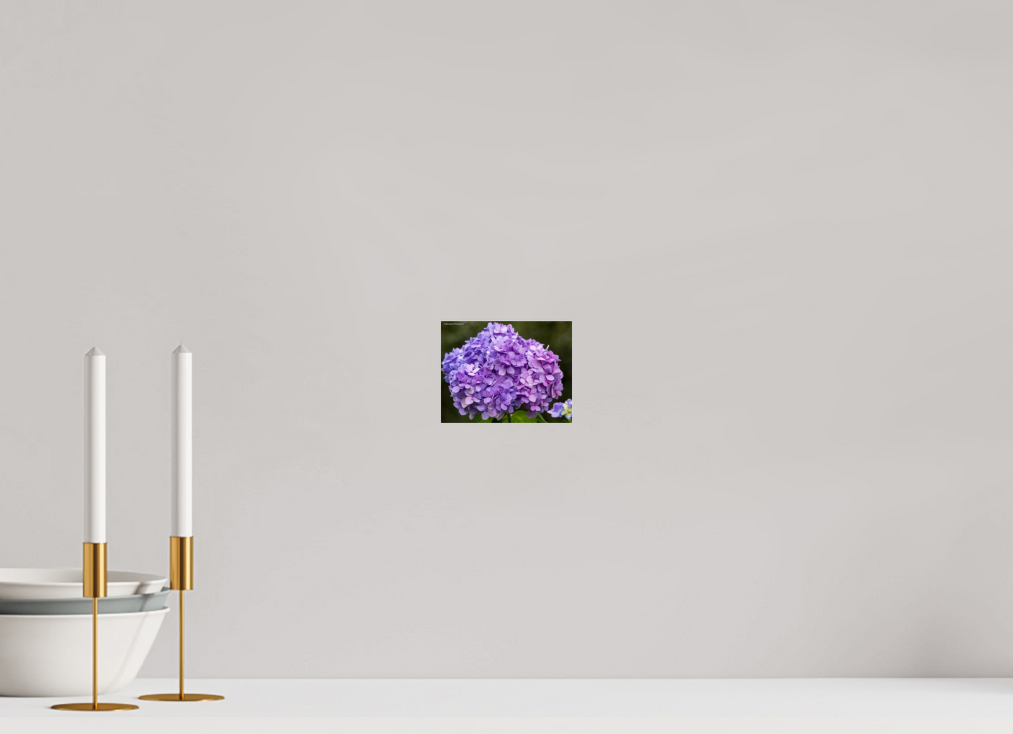5.2 x 4″, Photo Print Under Acrylic Glass Zillas Zoom Image 95