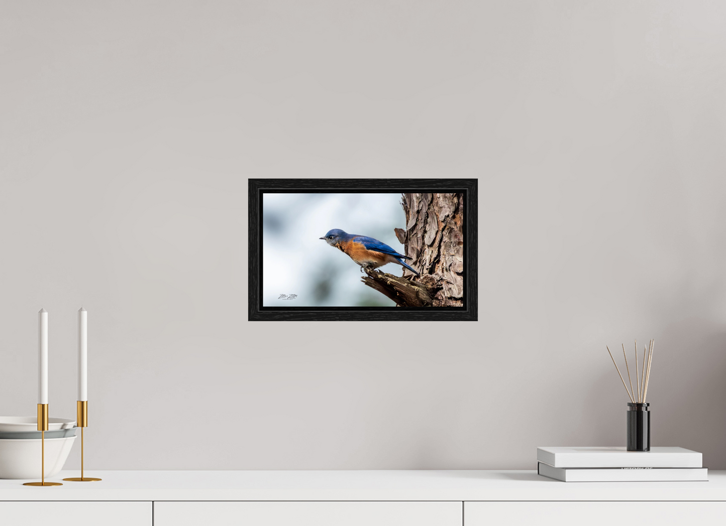 12 x 6.8″, Floater Frame Zillas Zoom Image 346