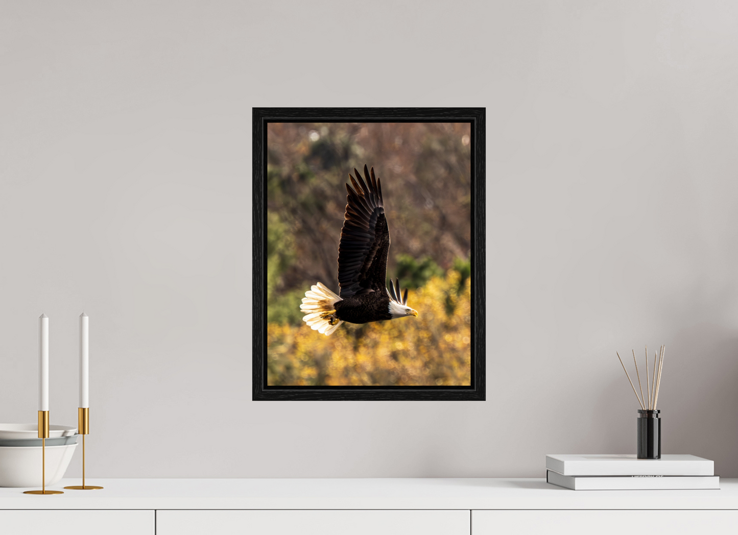 12 x 15.6″, Floater Frame Zillas Zoom Image 524