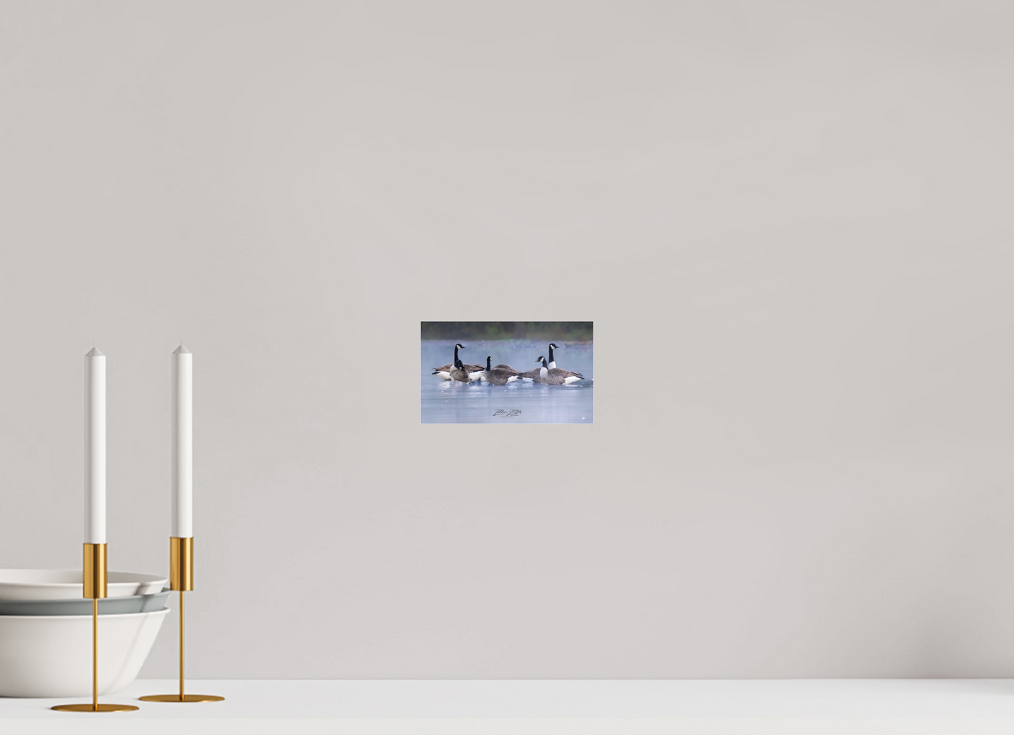 6.8 x 4″, Photo Print Under Acrylic Glass Zillas Zoom Image 313