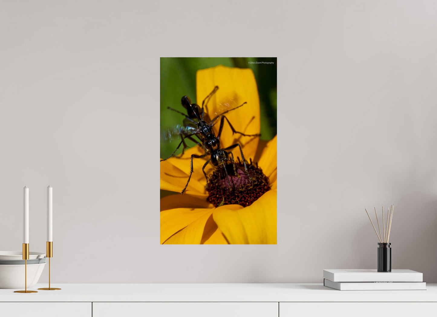 12 x 19.2″, Photo Print On Fuji Crystal DP II Zillas Zoom Image 108