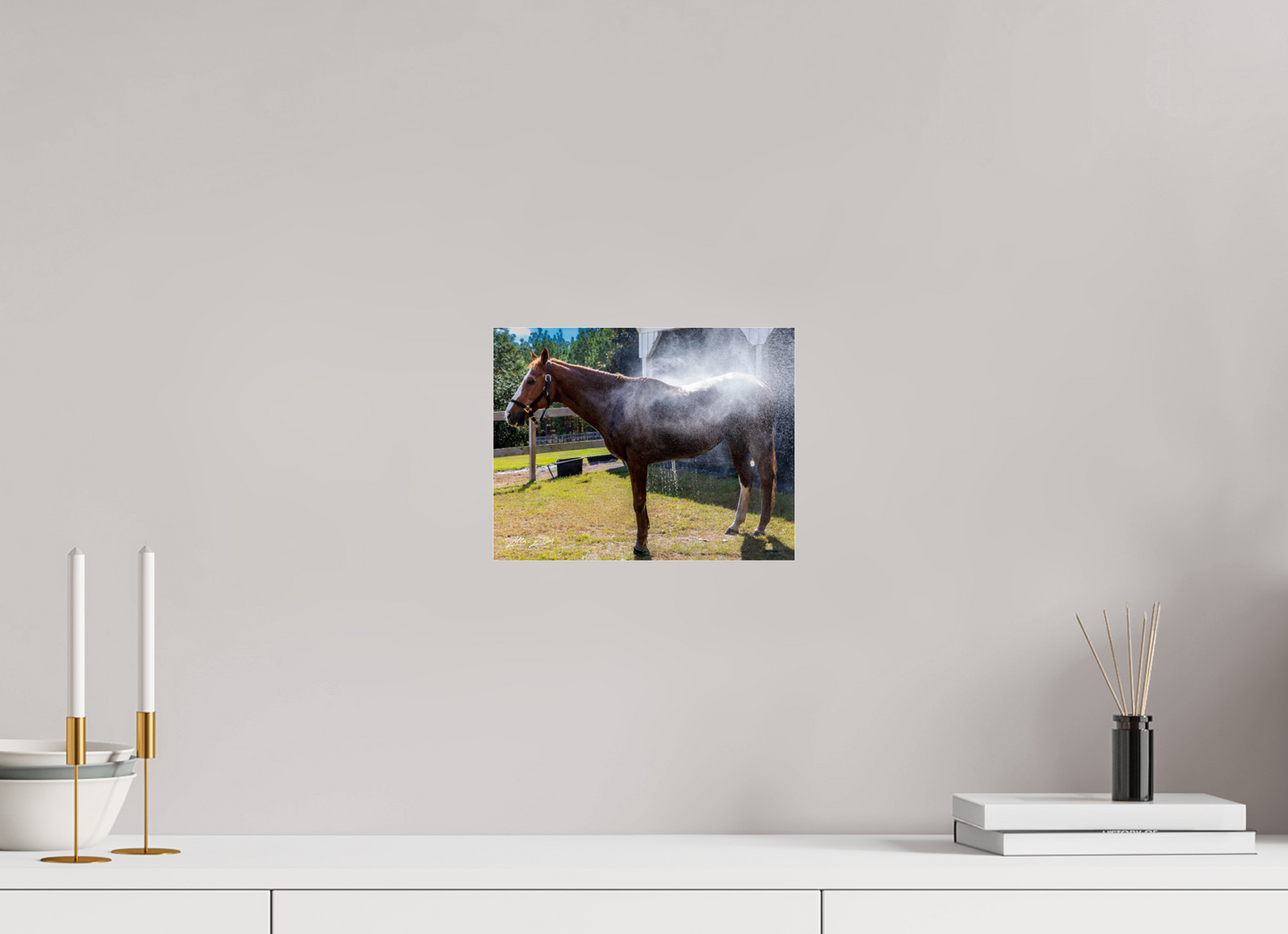 10.4 x 8″, Photo Print Under Acrylic Glass Zillas zoom image 145