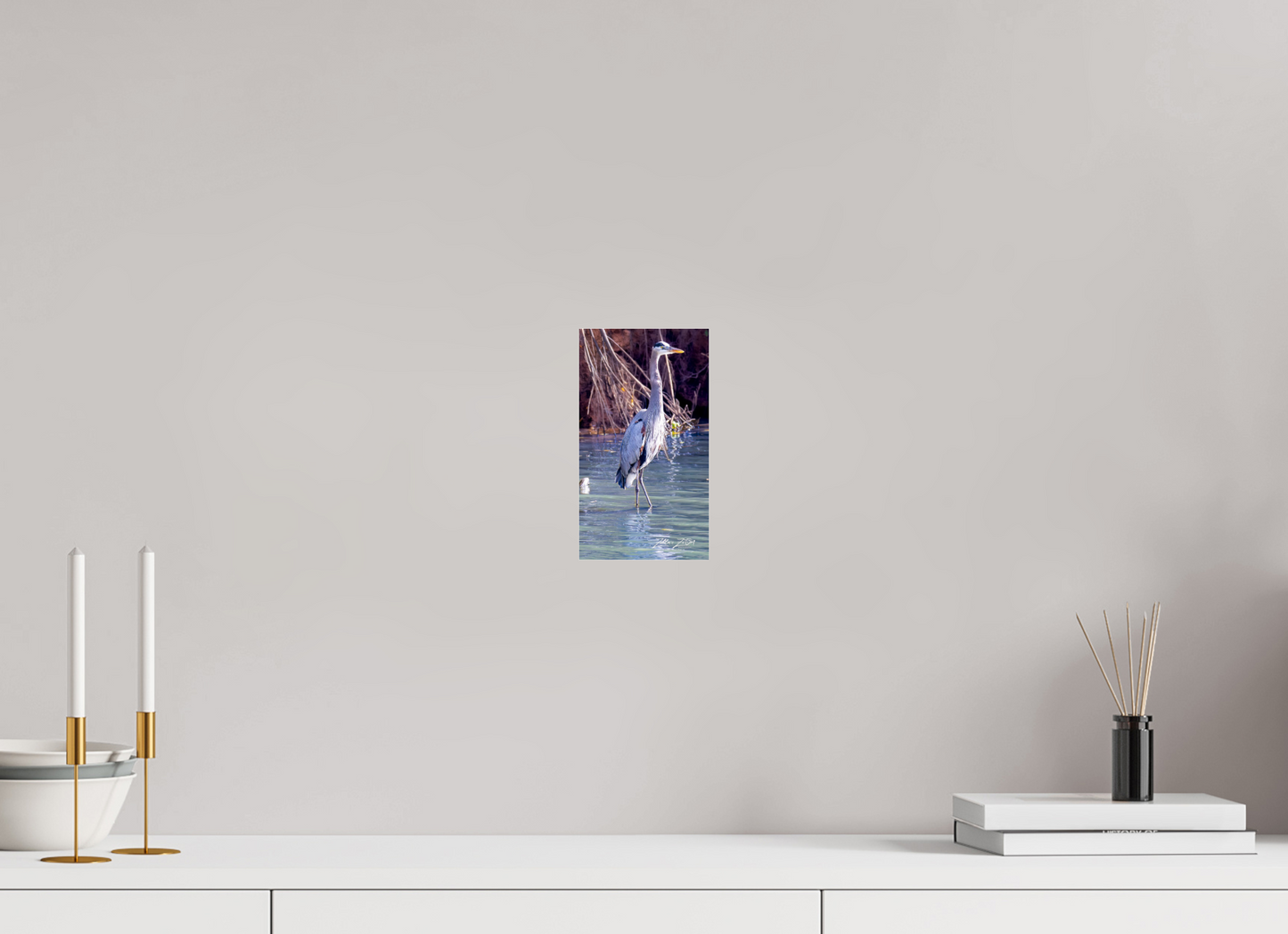 4.5 x 8″, Photo Print Under Acrylic Glass Zillas Zoom Image 429