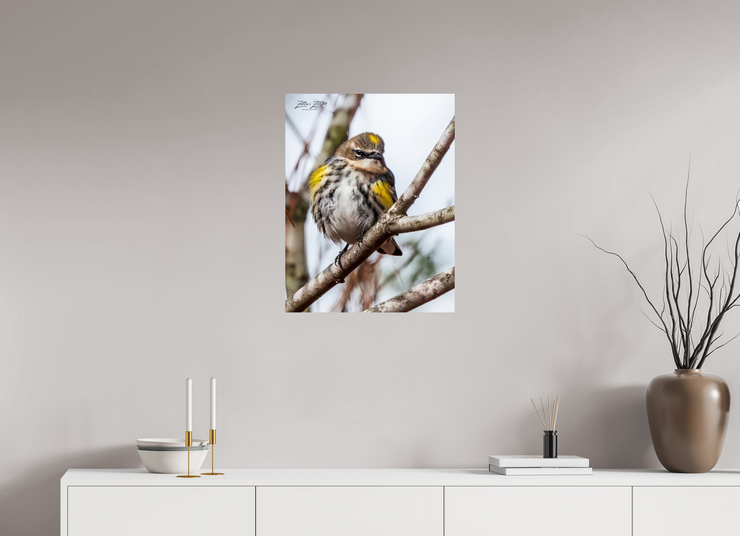 20 x 25.9″, Photo Print On Fuji Crystal DP II Zillas Zoom Image 496