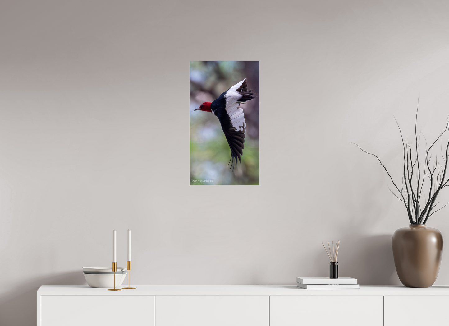 13.5 x 24″, Photo Print Under Acrylic Glass Zillas Zoom Image 482