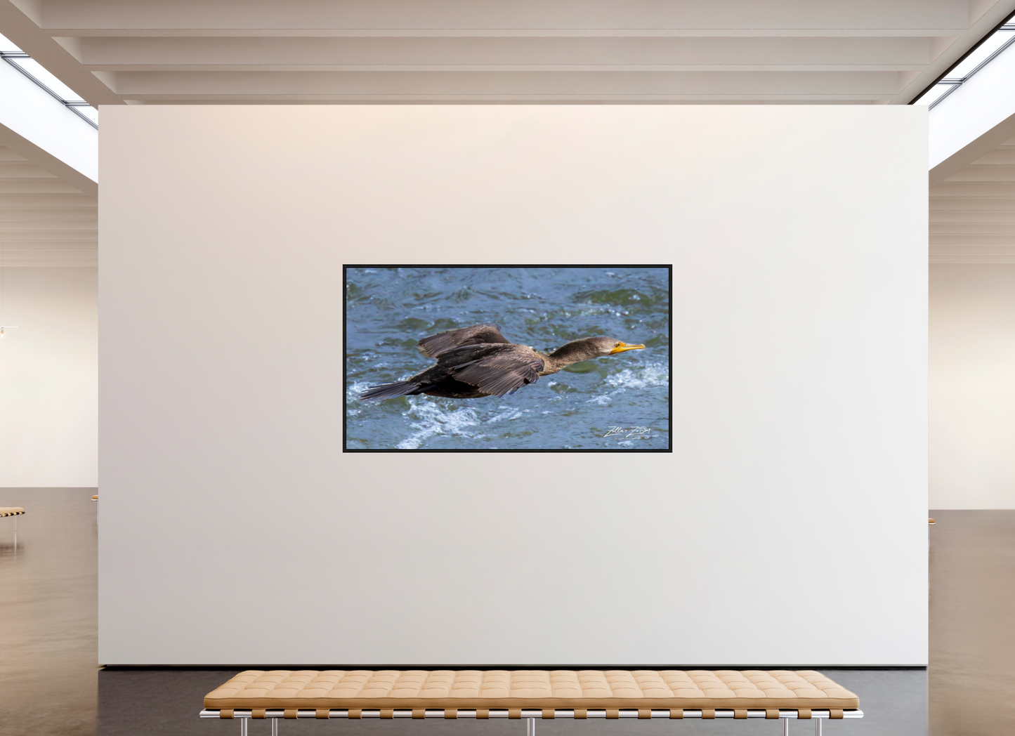 80 x 45″, Floater Frame Zillas Zoom Image 310