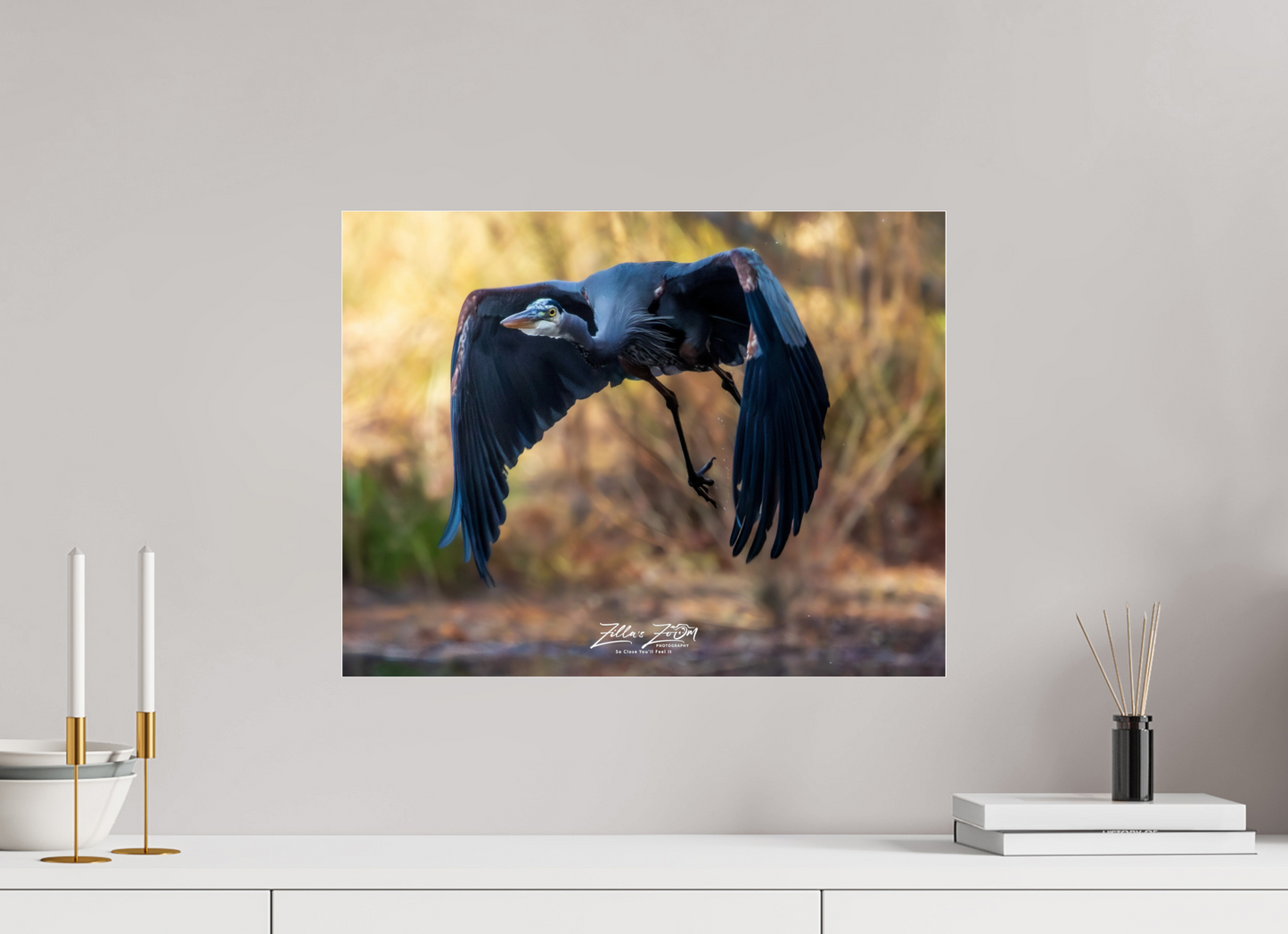 20.7 x 16″, Photo Print Under Acrylic Glass Zillas Zoom Image 295