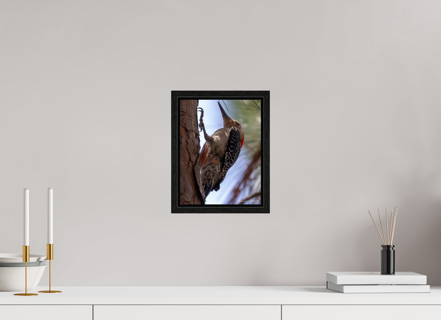 8 x 10.4″, Floater Frame Zillas Zoom Image 474