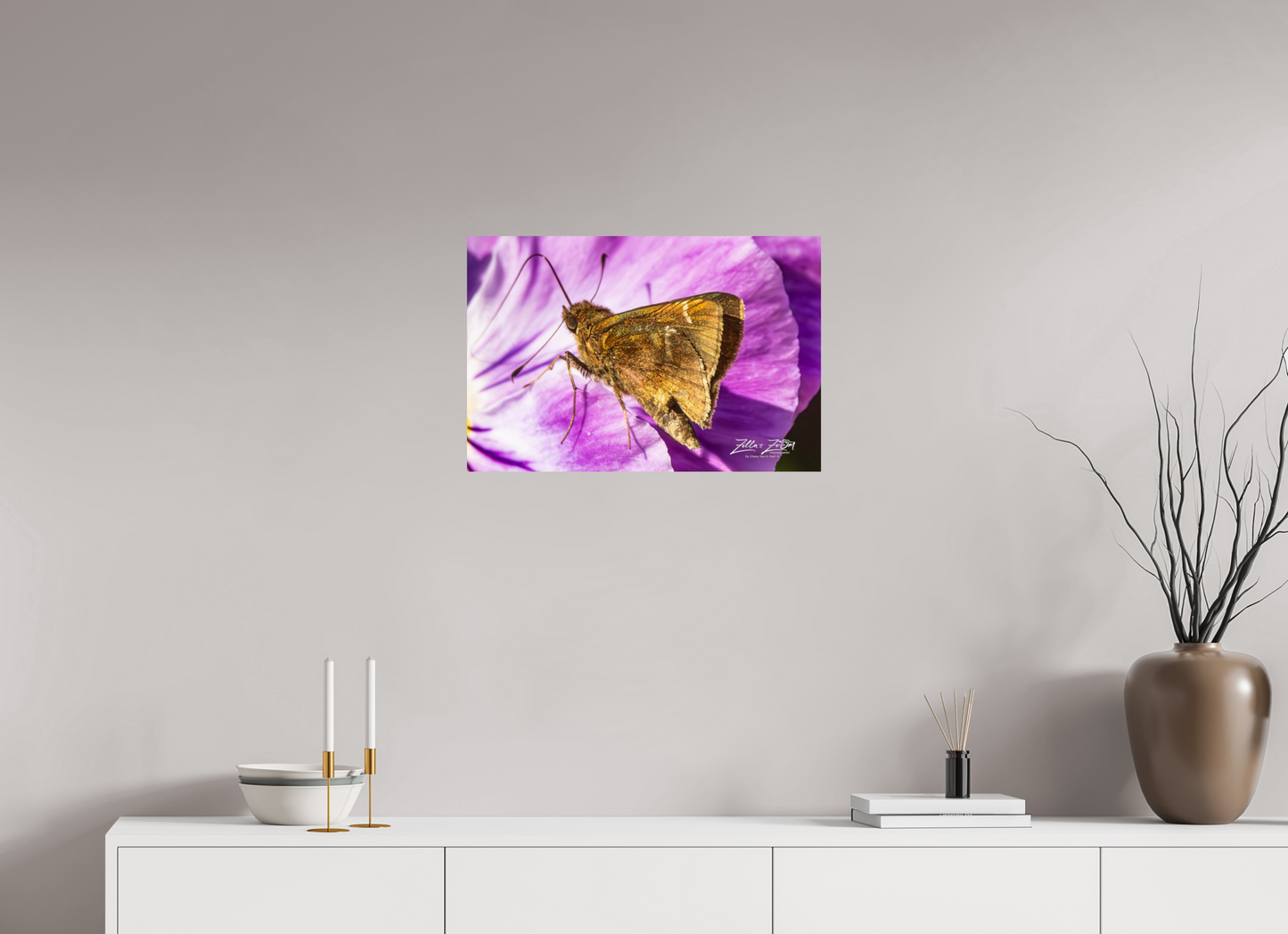 24 x 16″, Photo Print On Fuji Crystal DP II Zillas Zoom Image 62