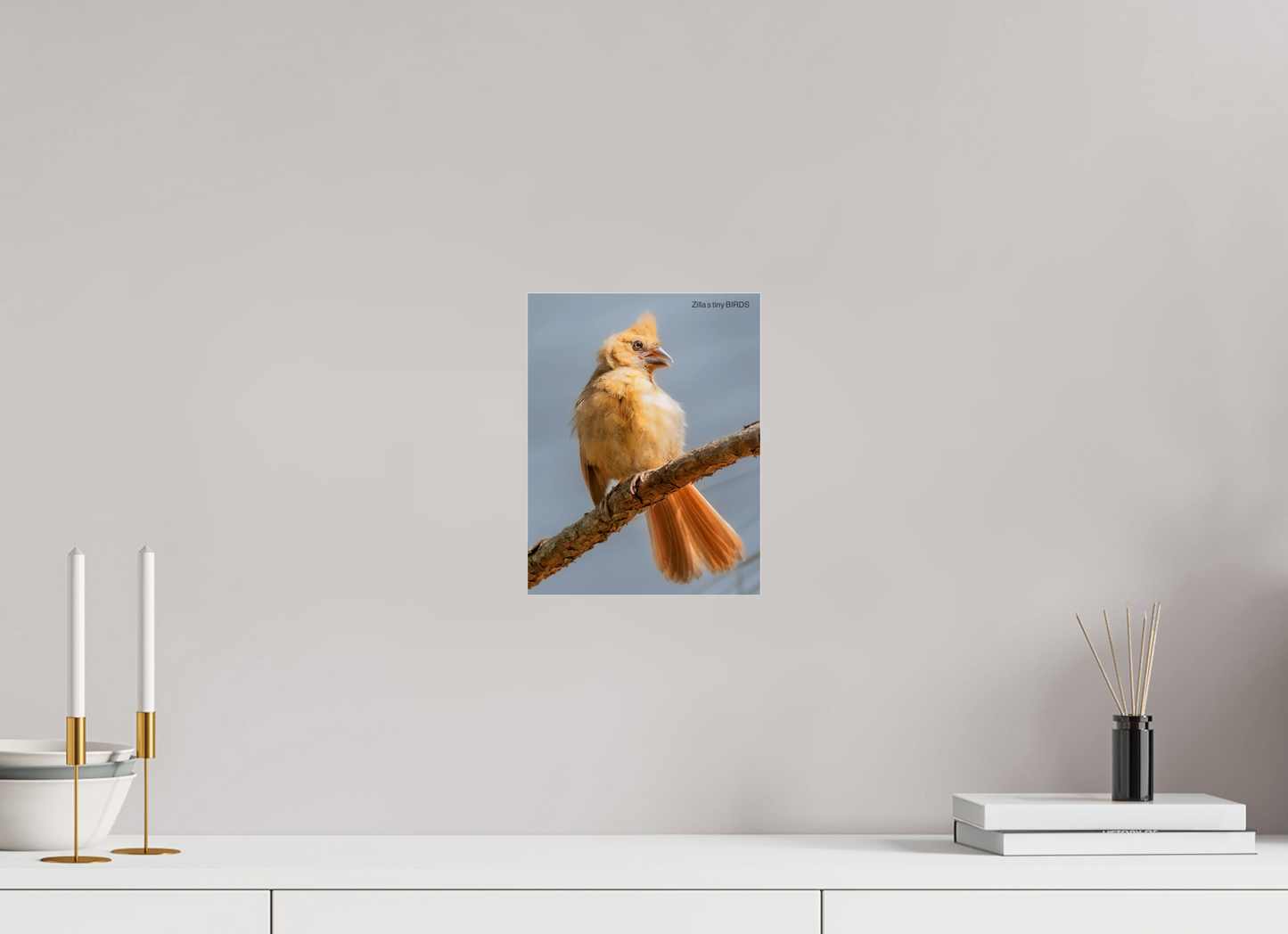 8 x 10.4″, Photo Print Under Acrylic Glass Zillas Zoom Image 508