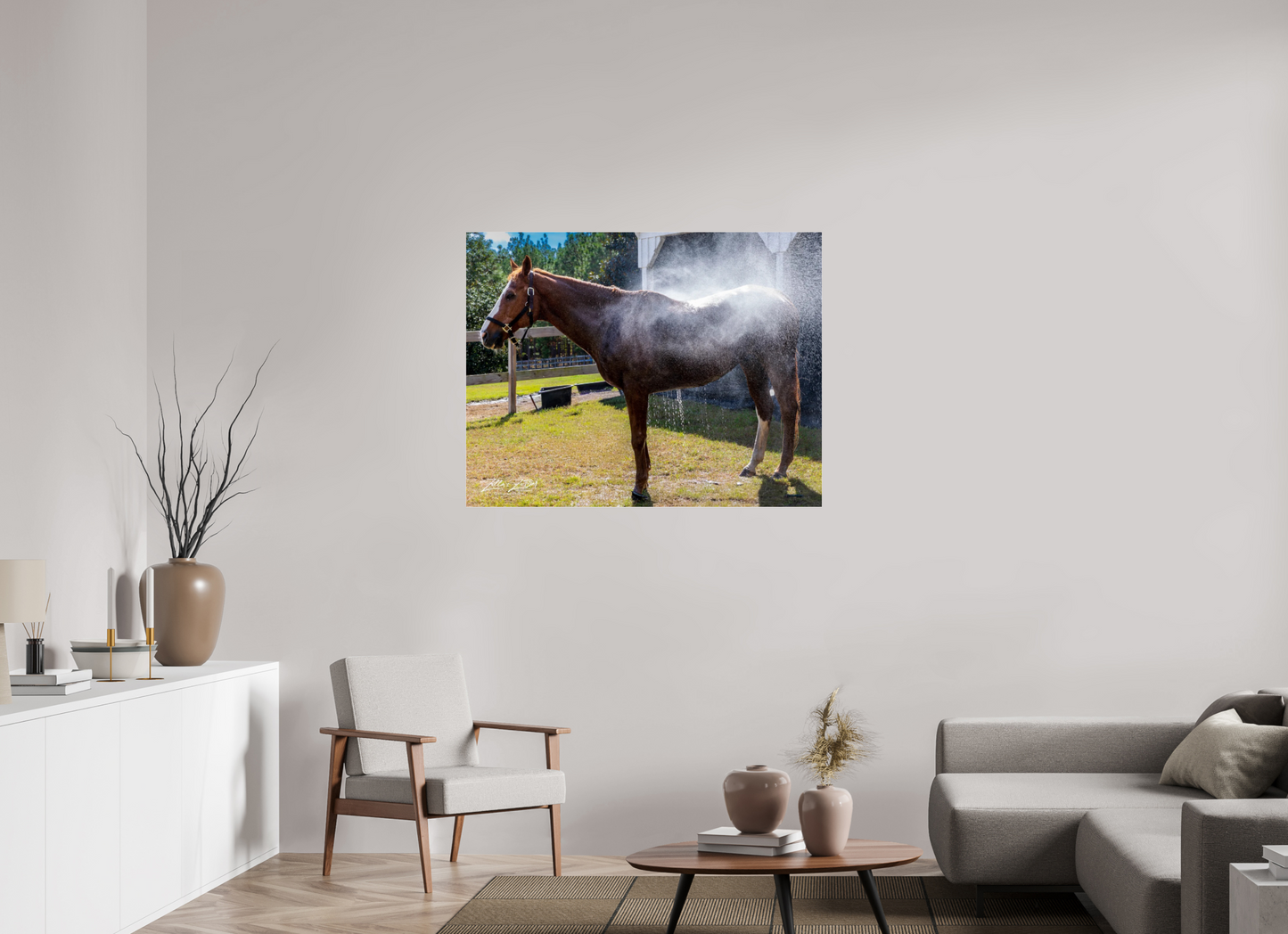 45.3 x 35″, Photo Print Under Acrylic Glass Zillas zoom image 145