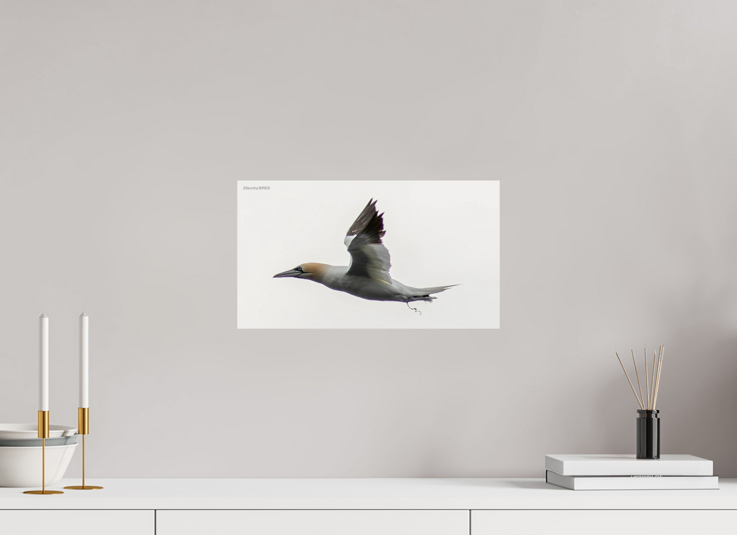 16 x 9″, Photo Print On Fuji Crystal DP II Zillas Zoom Image 331