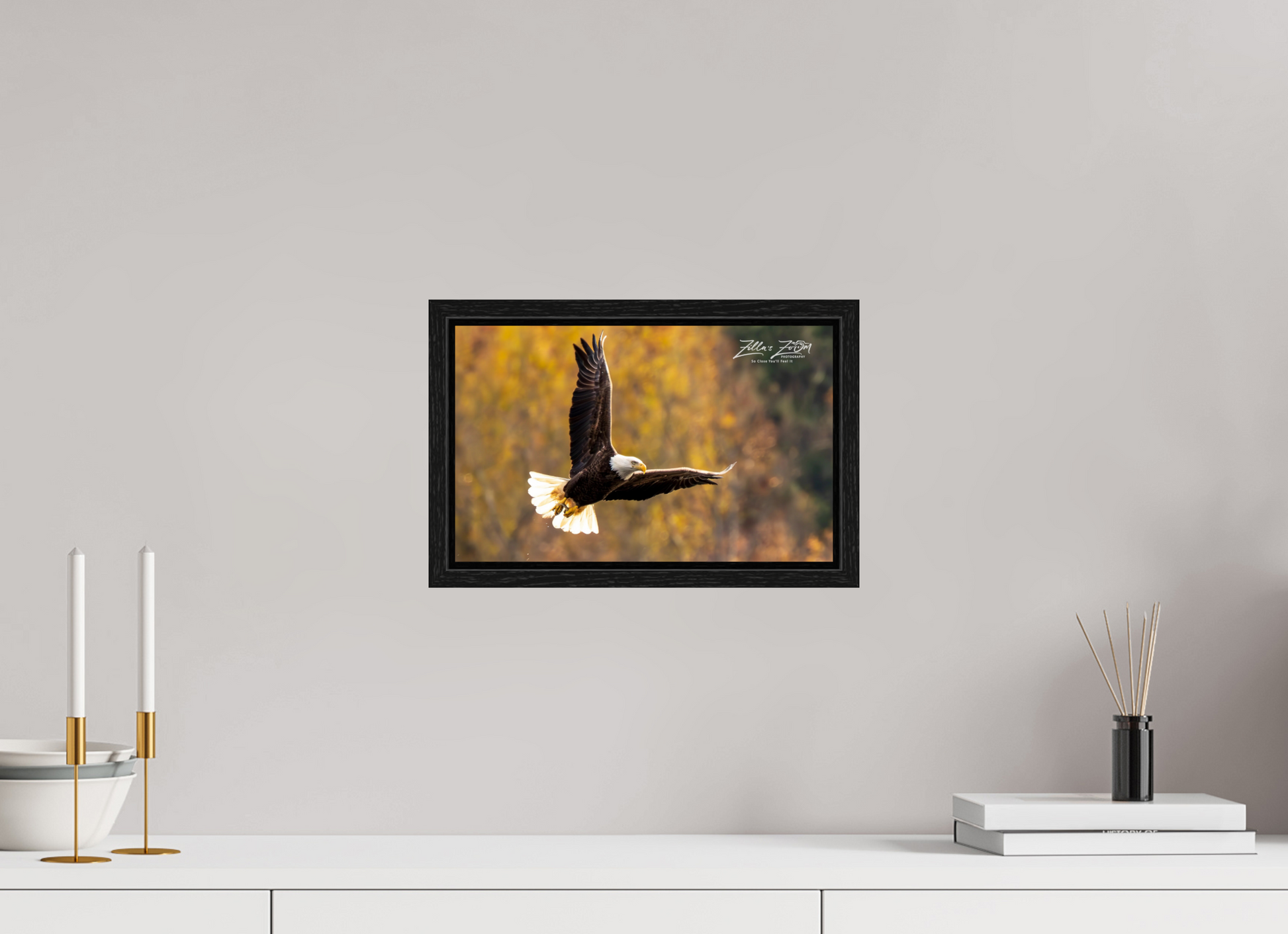 12.8 x 8″, Floater Frame Zillas Zoom Image 272