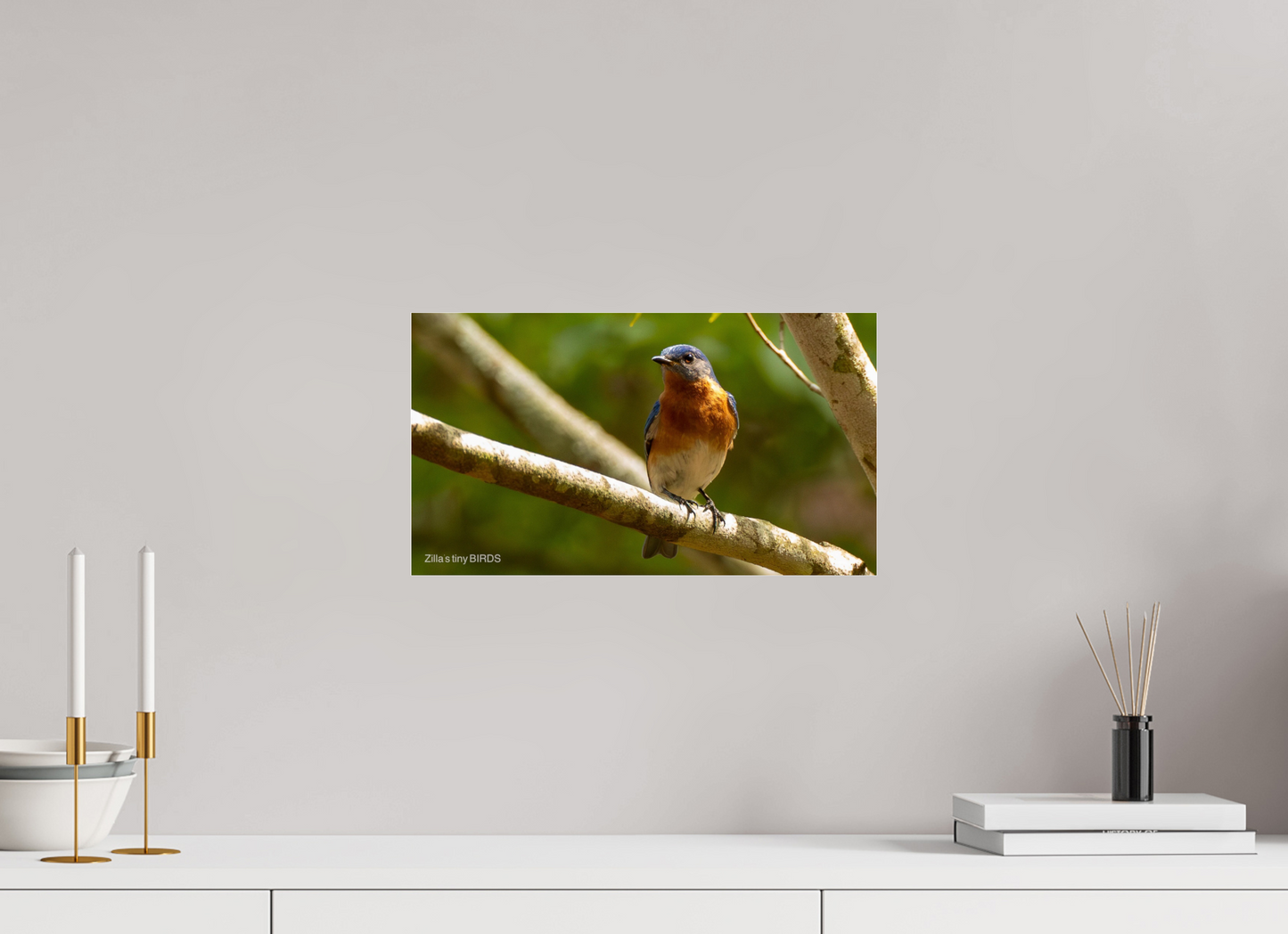 16 x 9″, Photo Print Under Acrylic Glass Zillas Zoom Image 373