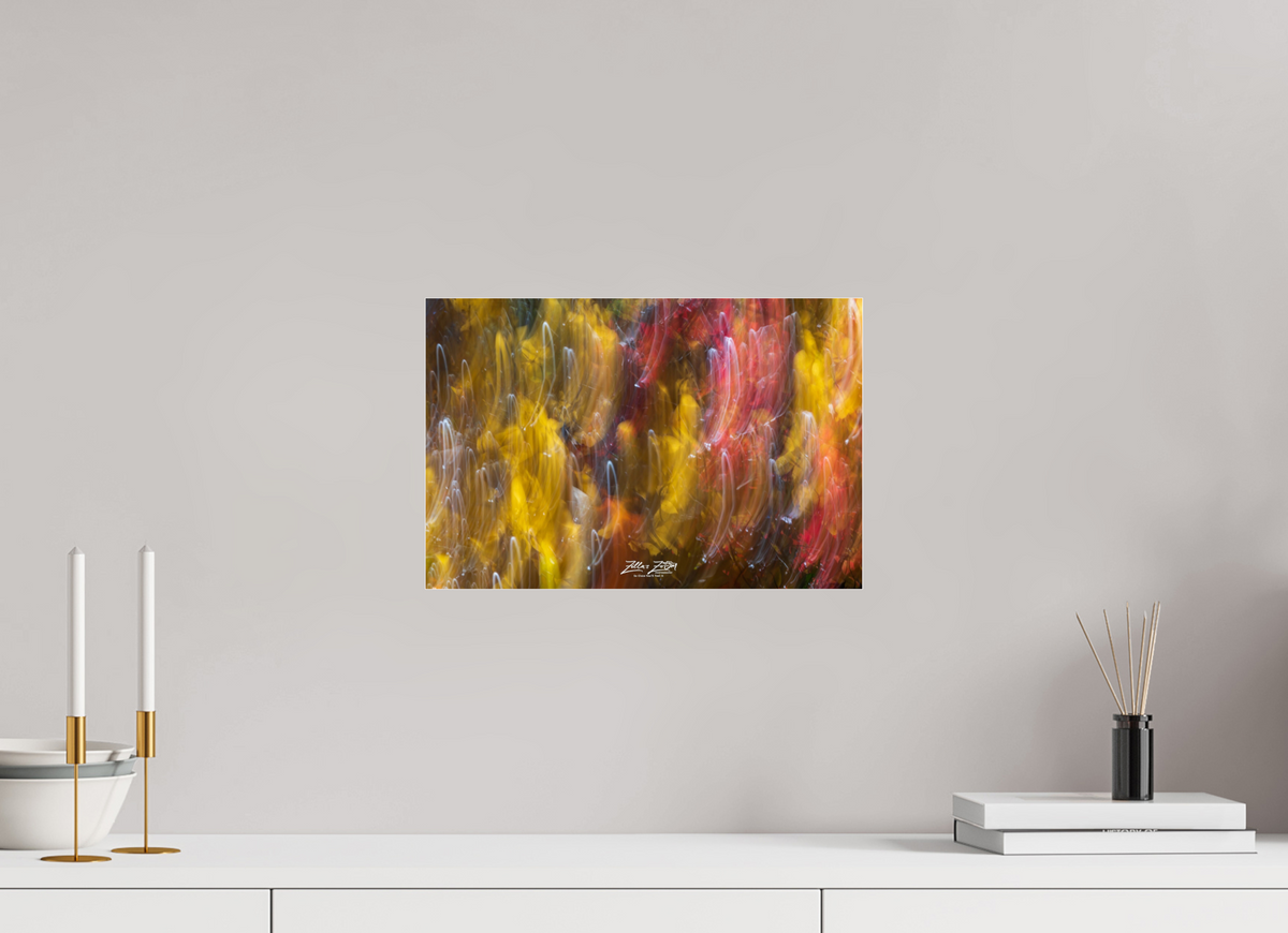 15 x 10″, Photo Print Under Acrylic Glass Zillas Zoom Image 13