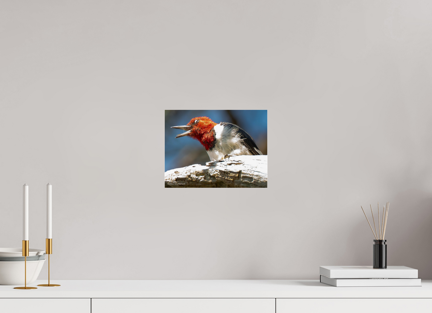 10.5 x 8″, Photo Print Under Acrylic Glass Zillas Zoom Image 269