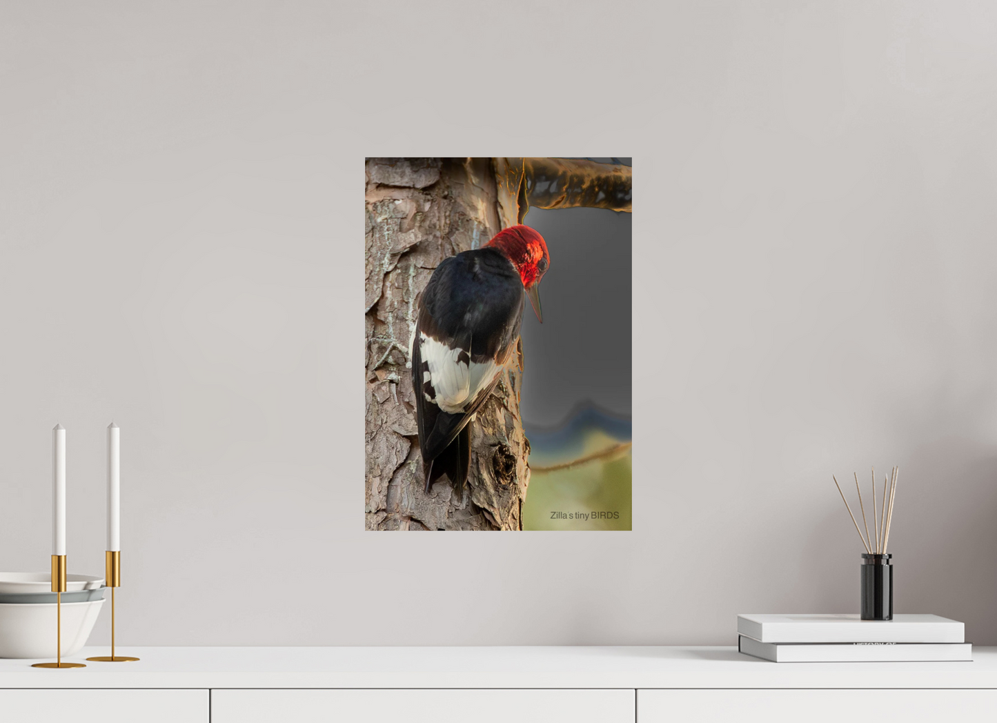 12 x 16.8″, Photo Print On Fuji Crystal DP II Zillas Zoom Image 502