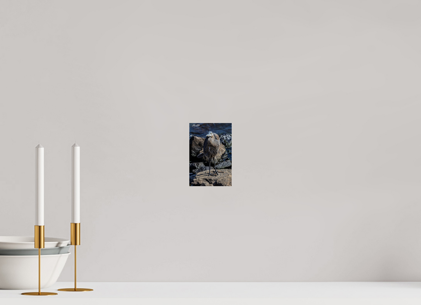 4 x 6″, Photo Print Under Acrylic Glass Zillas Zoom Image 449