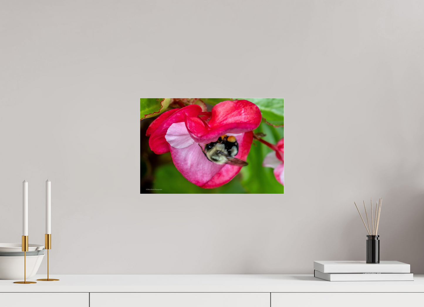 15 x 10″, Photo Print Under Acrylic Glass Zillas Zoom Image 101