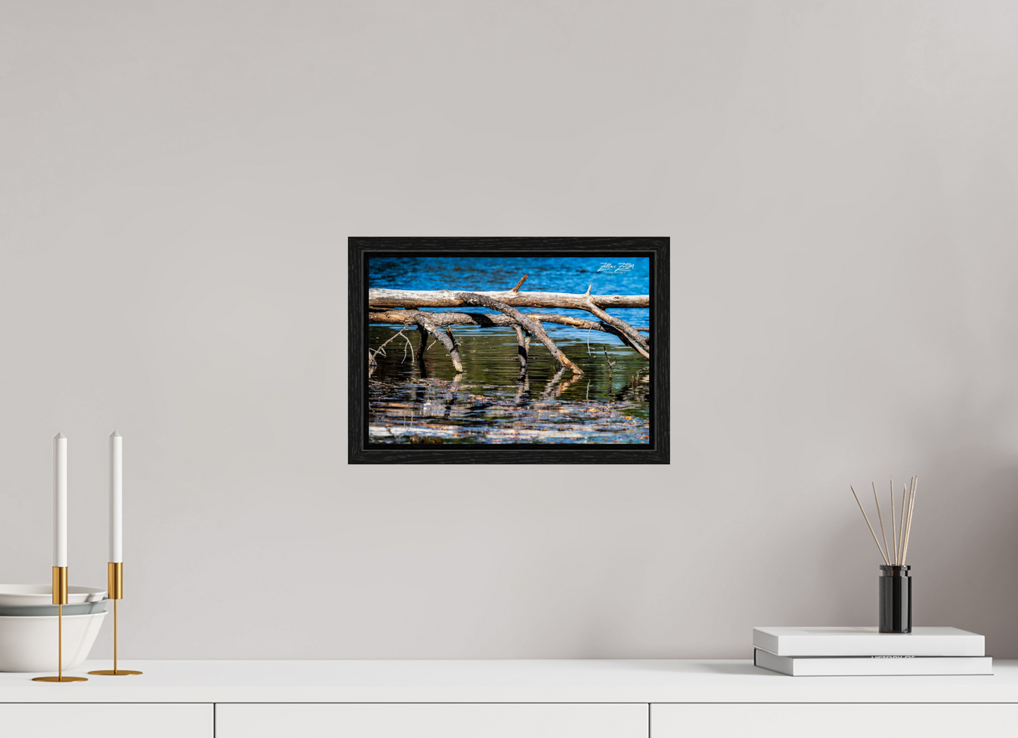 12 x 8″, Floater Frame Zillas Zoom Image 214