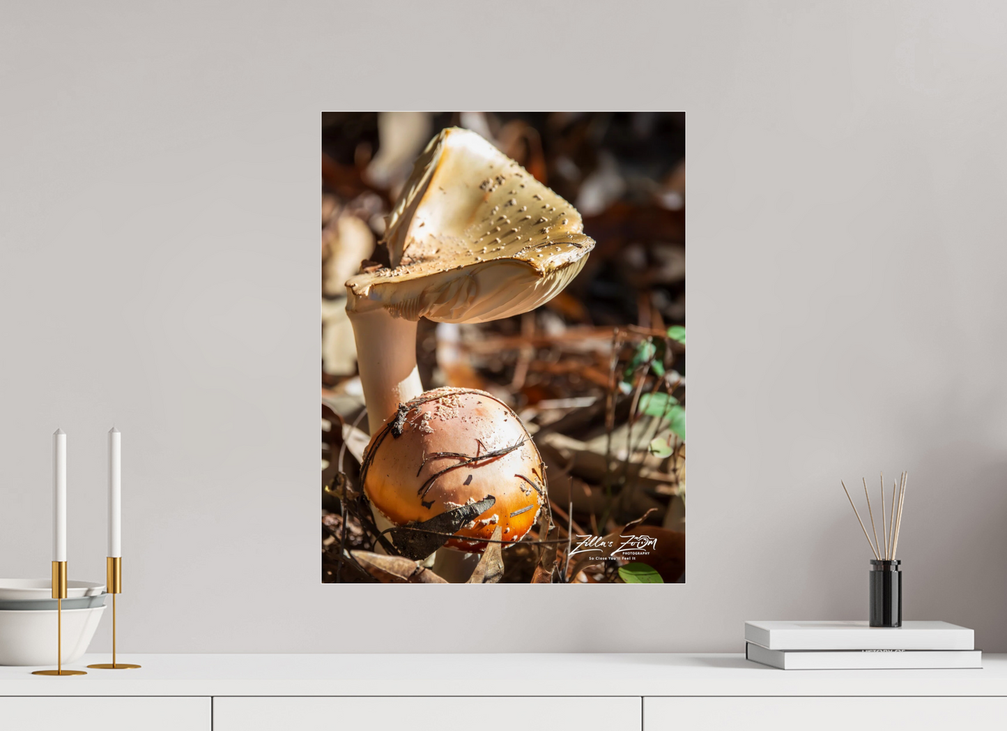 16 x 20.7″, Photo Print Under Acrylic Glass Zillas Zoom Image 116