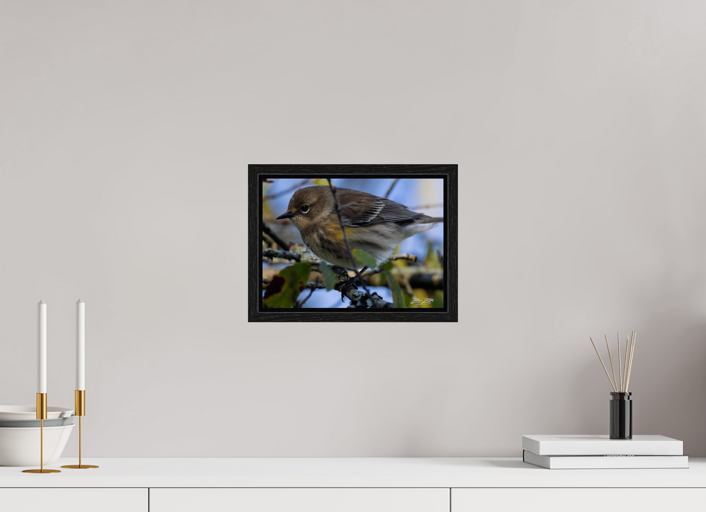 11.2 x 8″, Floater Frame Zillas Zoom Image 357