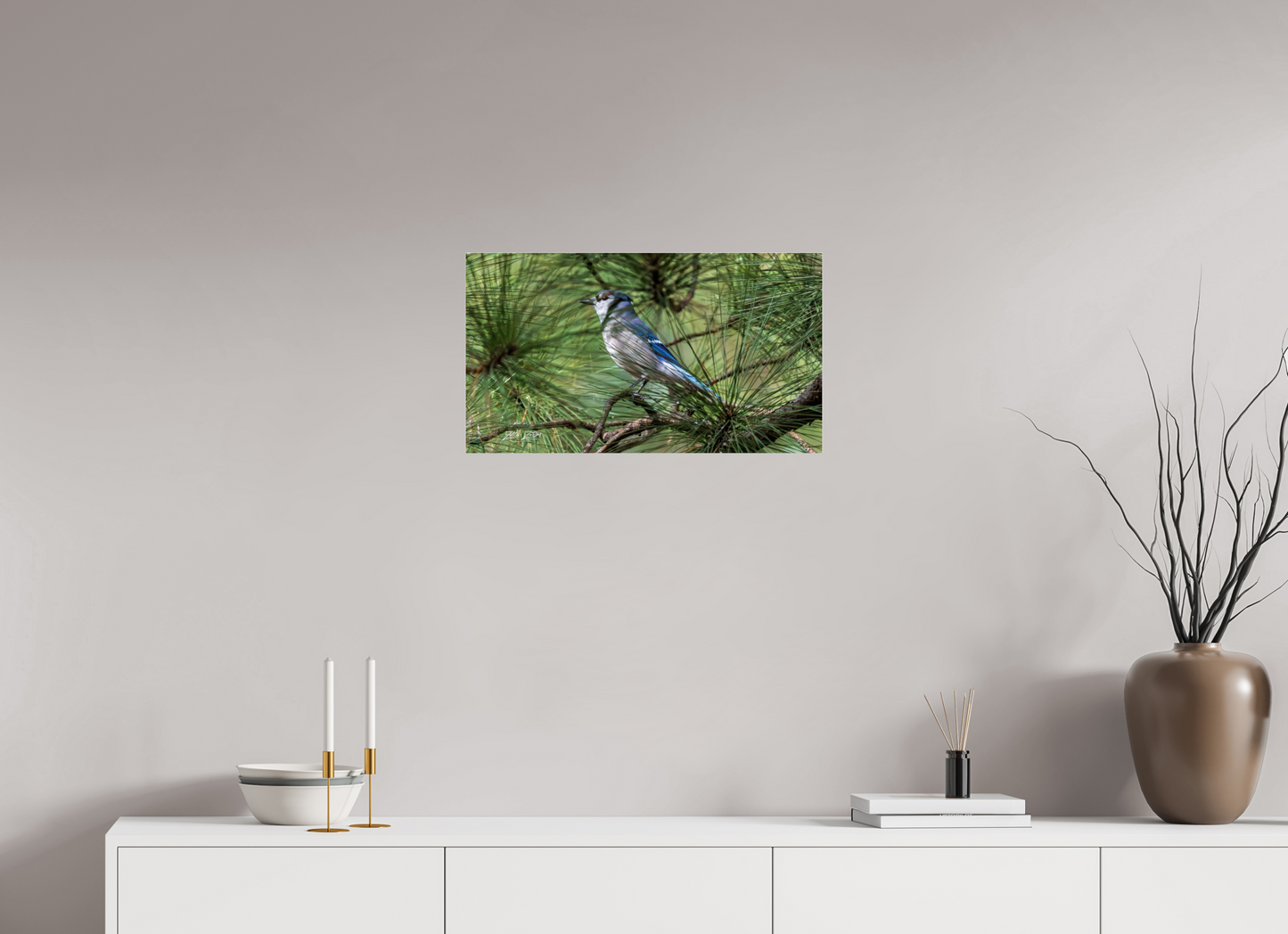 24 x 13.5″, Photo Print Under Acrylic Glass Zillas Zoom Image 344
