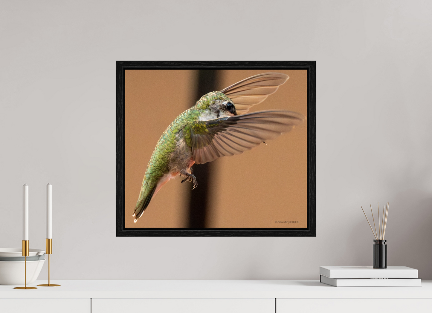 18.3 x 16″, Floater Frame Zillas Zoom Image 376