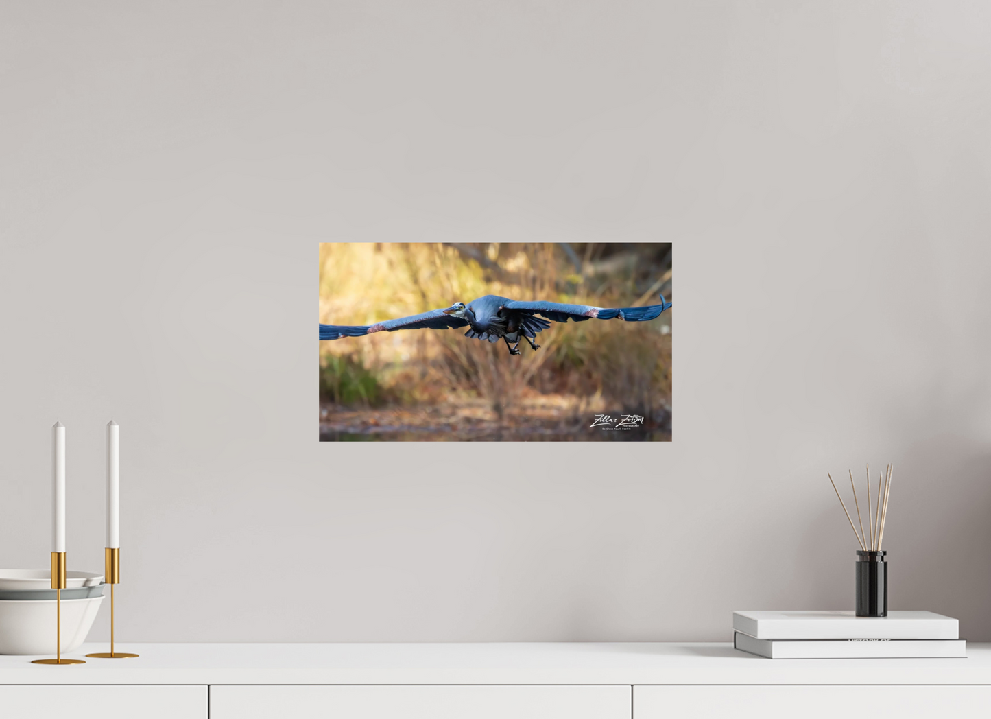 16 x 9″, Photo Print On Fuji Crystal DP II Zillas Zoom Image 296