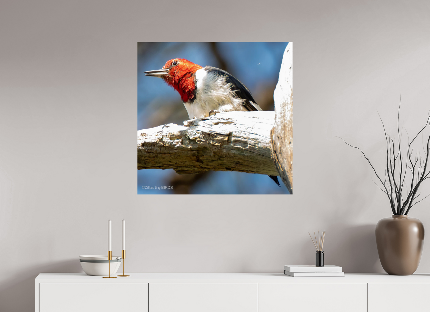 31.5 x 31″, Photo Print On Fuji Crystal DP II Zillas Zoom Image 273