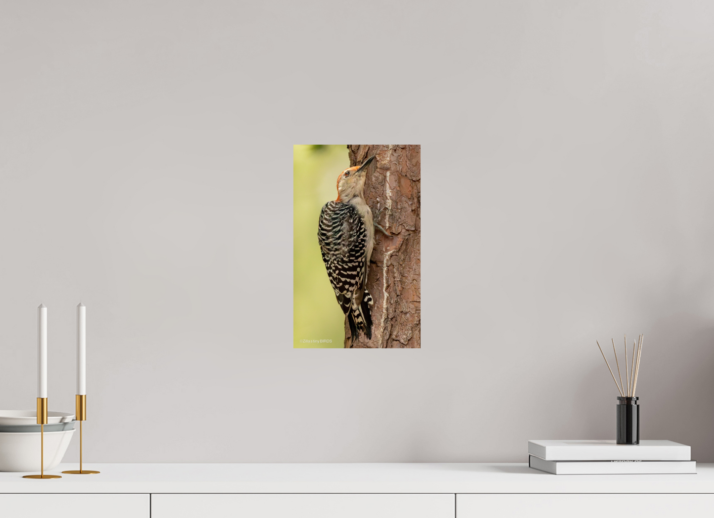 8 x 12.8″, Photo Print On Fuji Crystal DP II Zillas Zoom Image 456