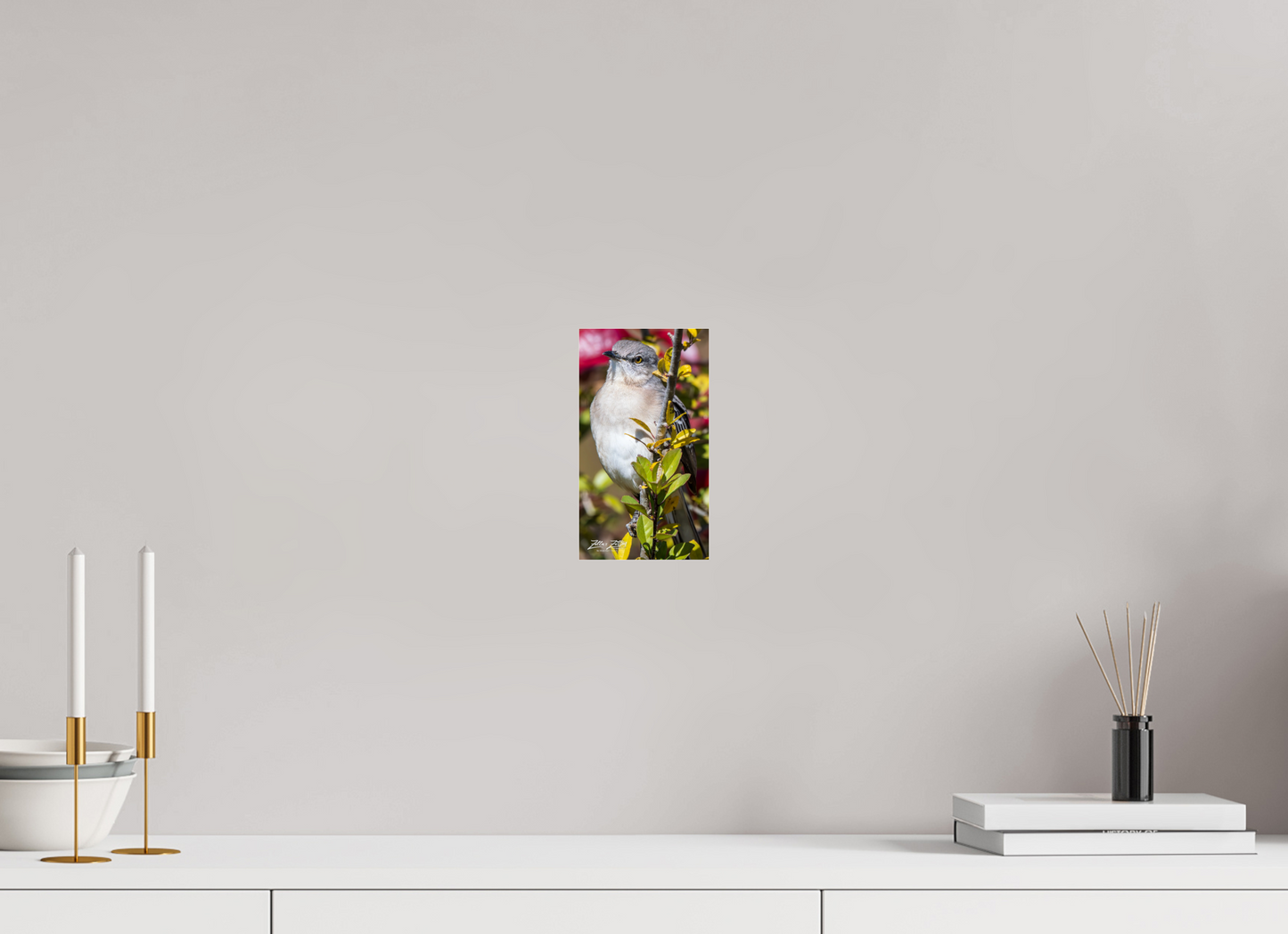 4.5 x 8″, Photo Print Under Acrylic Glass Zillas Zoom Image 406