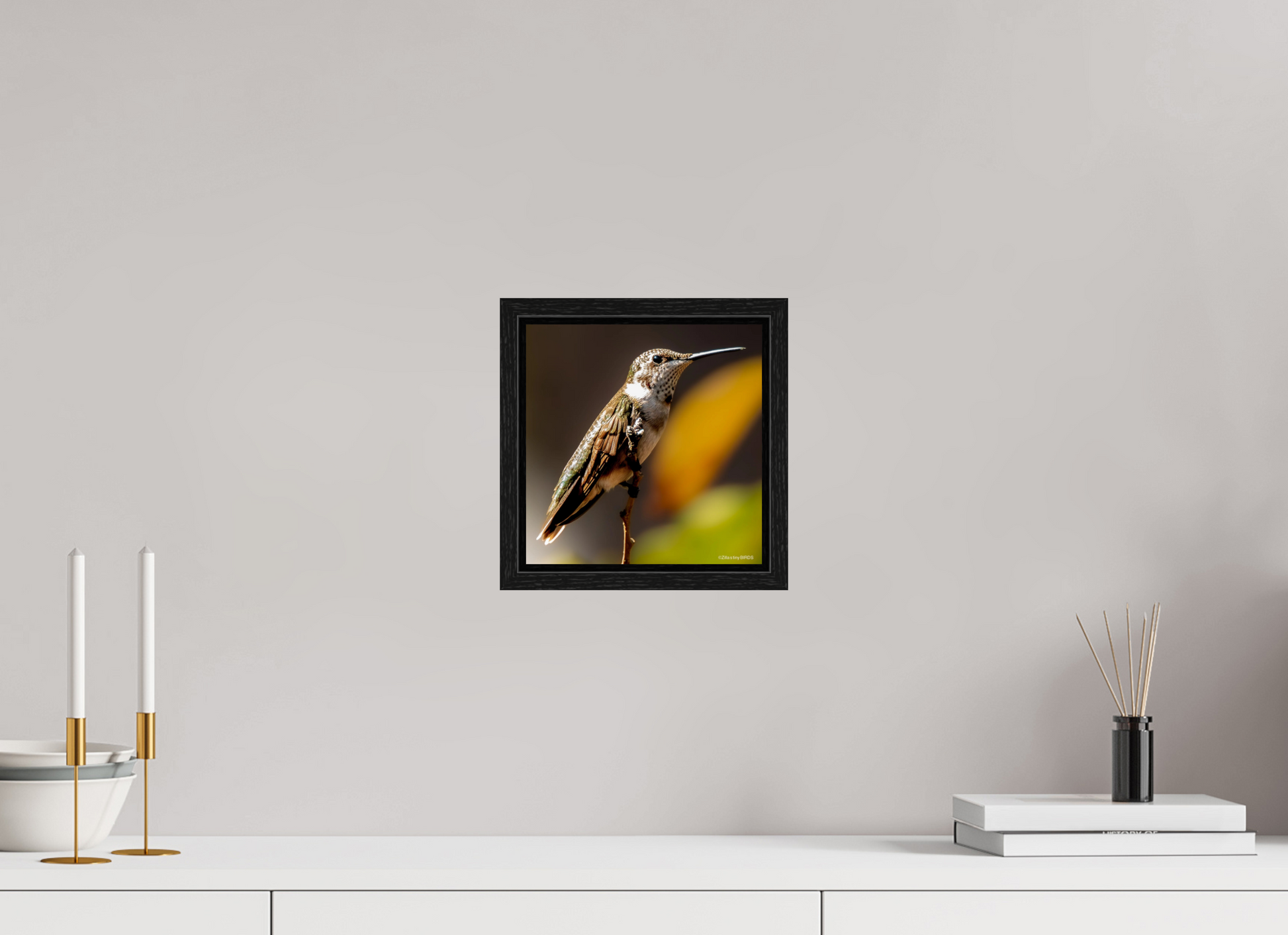 8 x 8.1″, Floater Frame Zillas Zoom Image 359