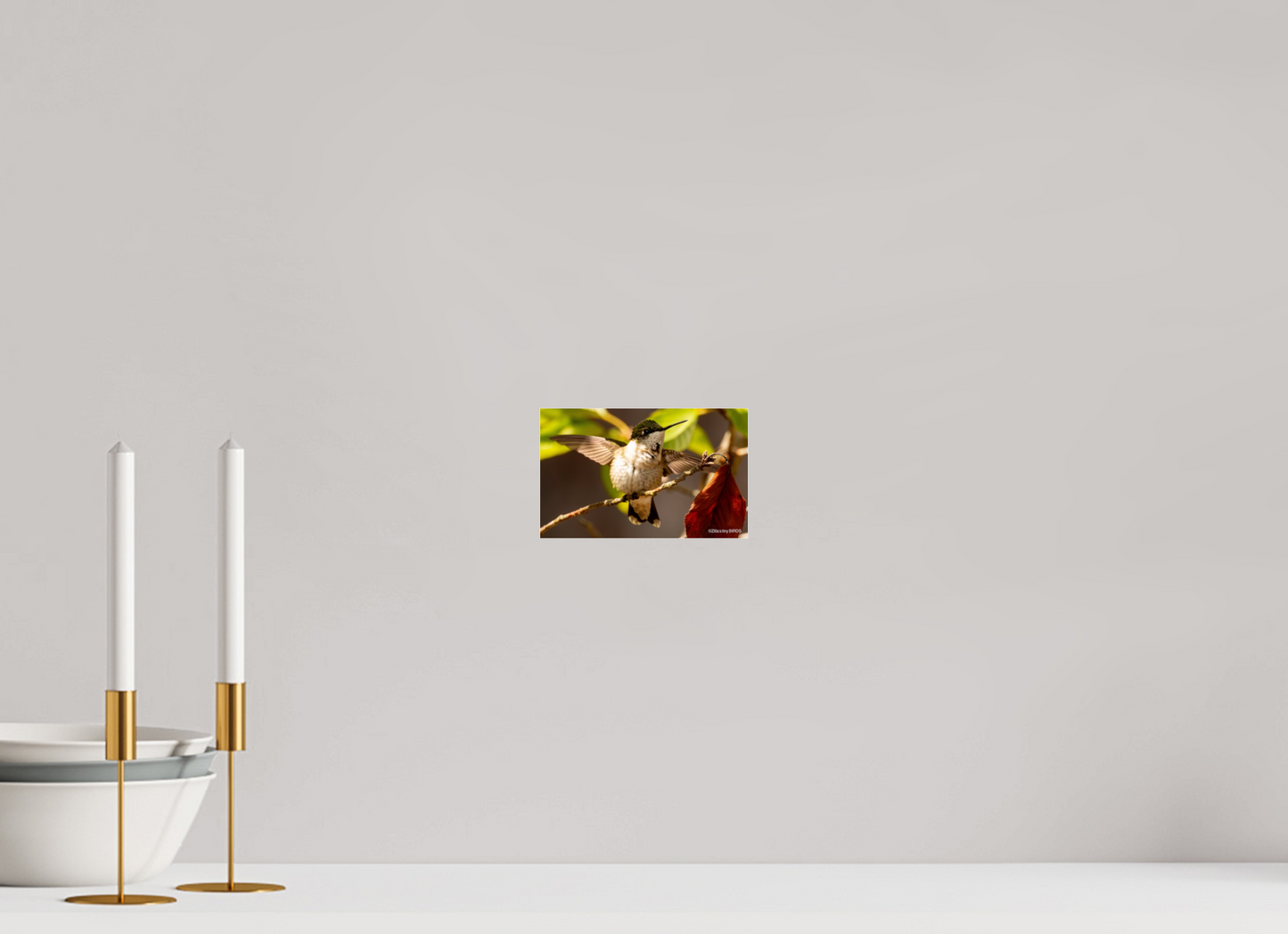 6.4 x 4″, Photo Print Under Acrylic Glass Zillas Zoom Image 350